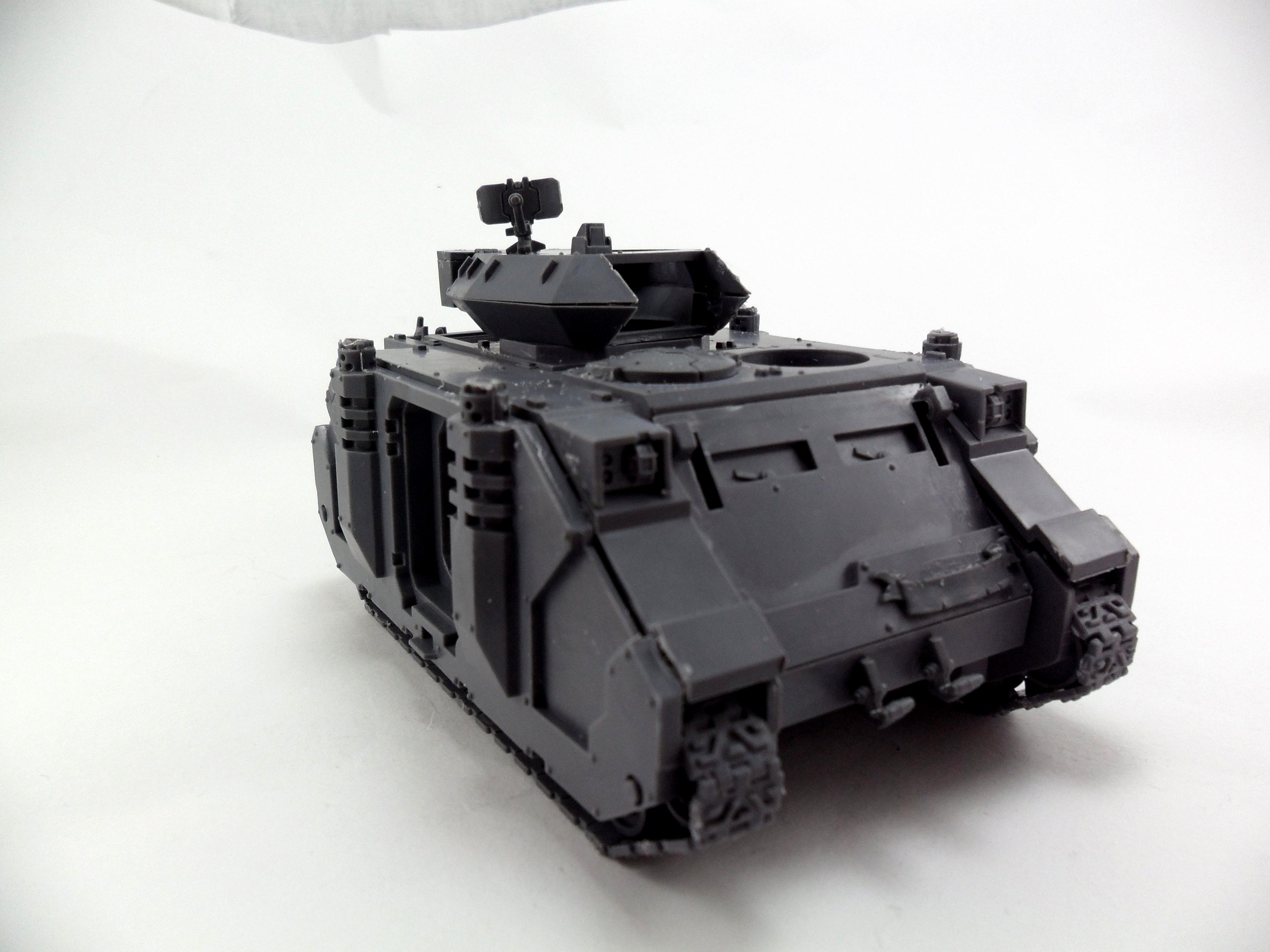 Salamanders, Pred 1a