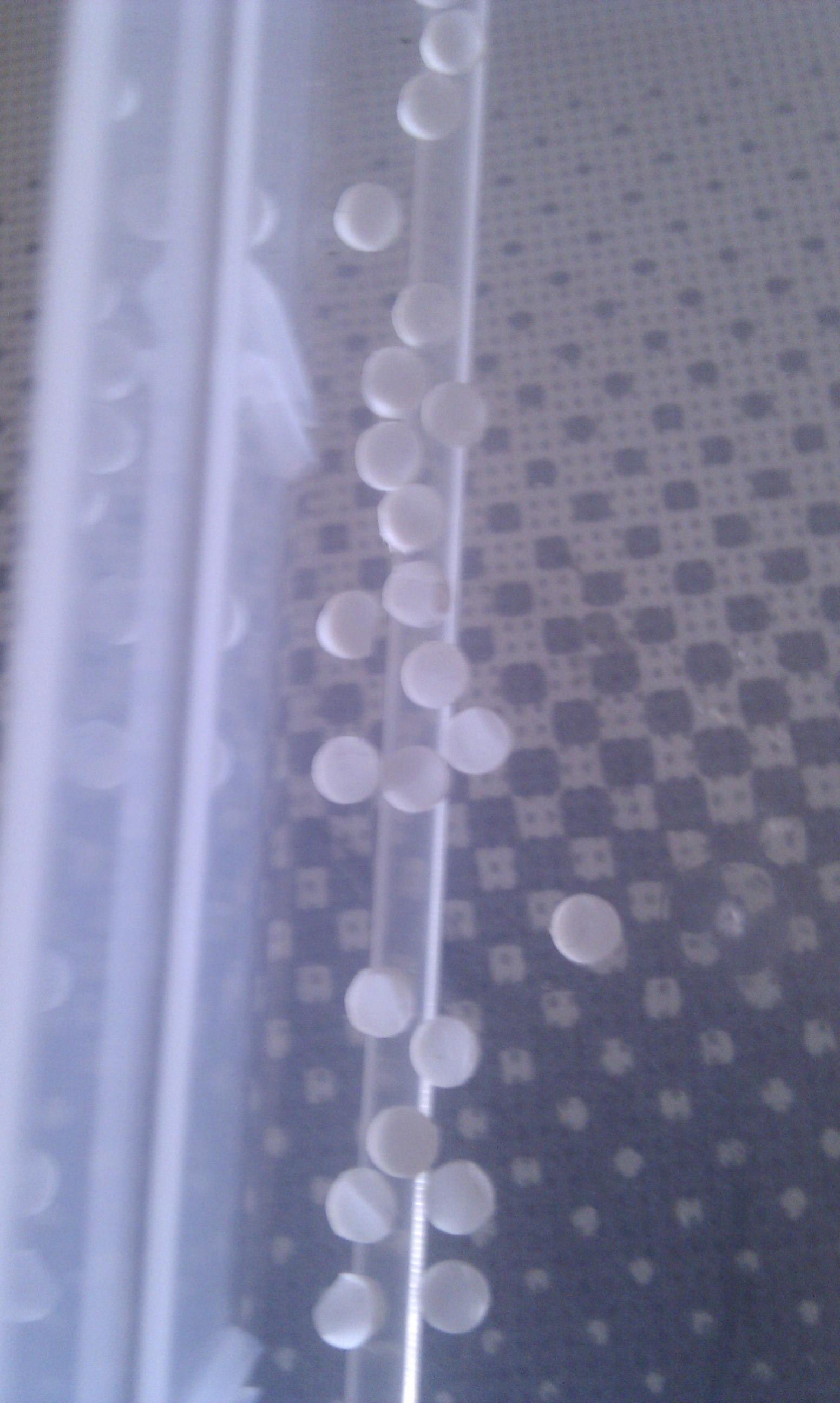 another guess?