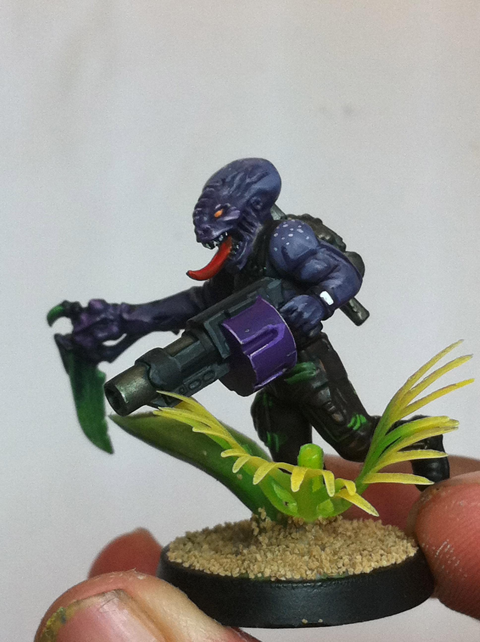 Catachan, Genestealer Cult, Imperial Guard