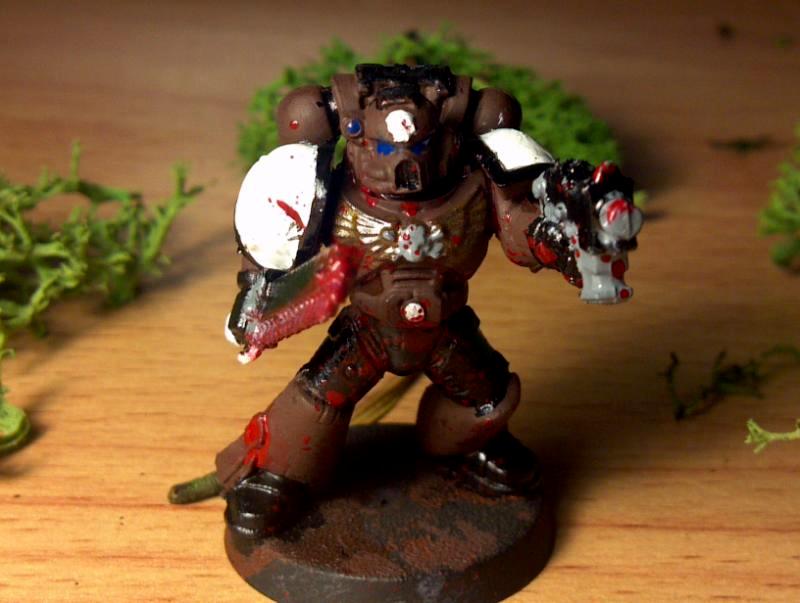 Space Marines, War Bears