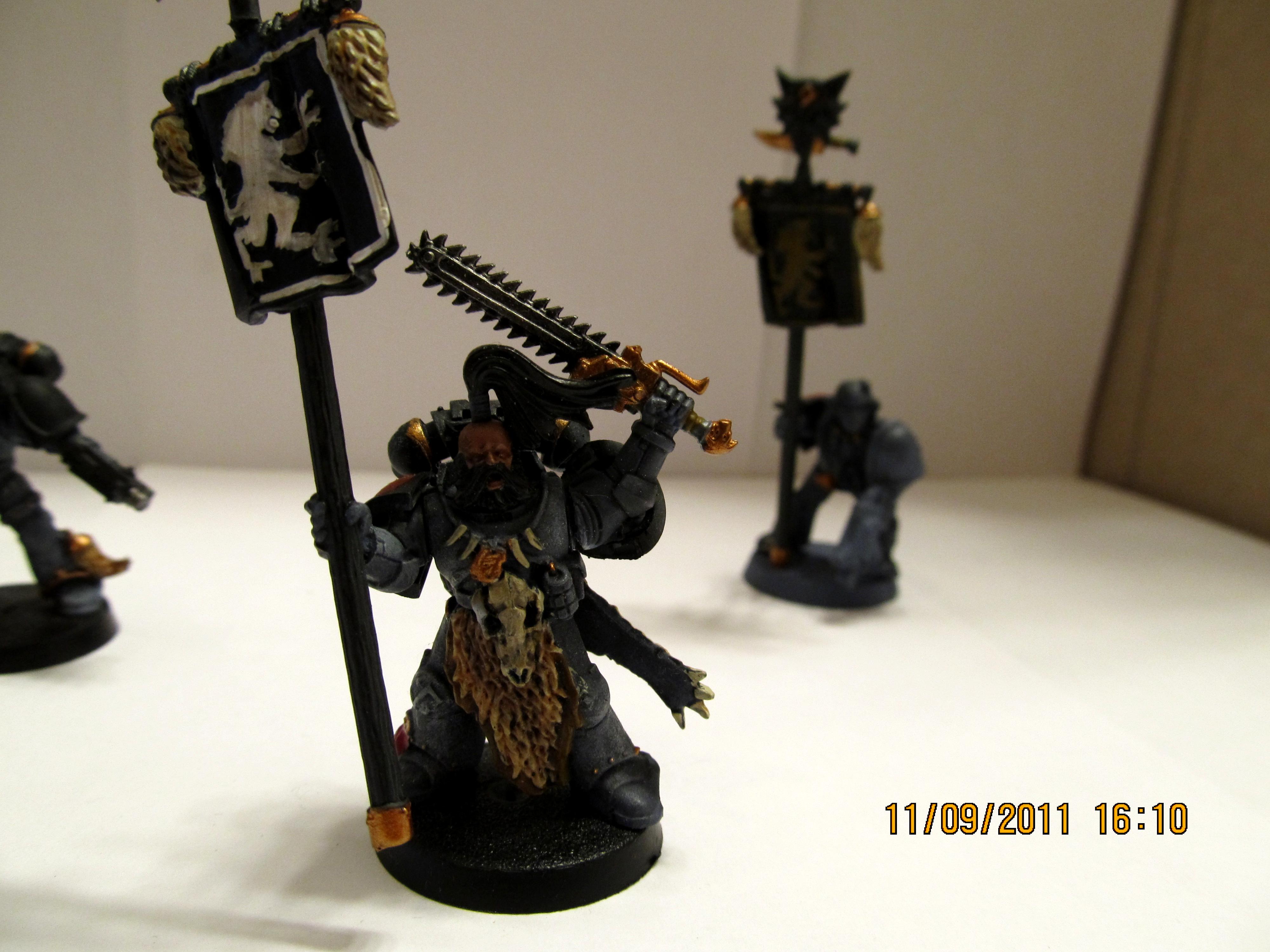 Space Wolves, Standard