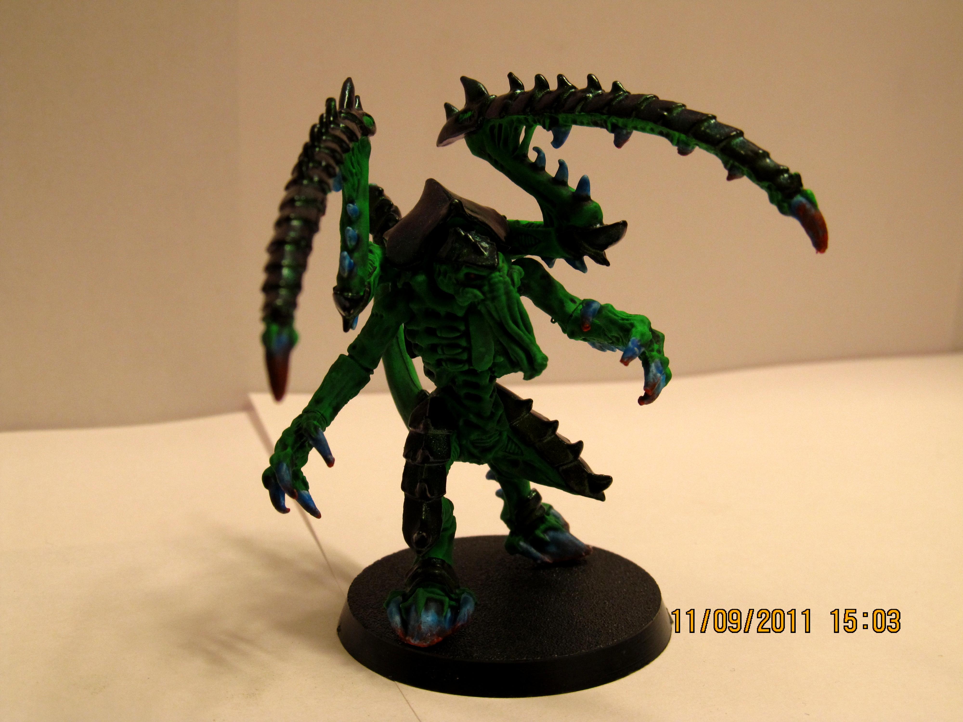 Chameleon, Fluorescent, Lictor
