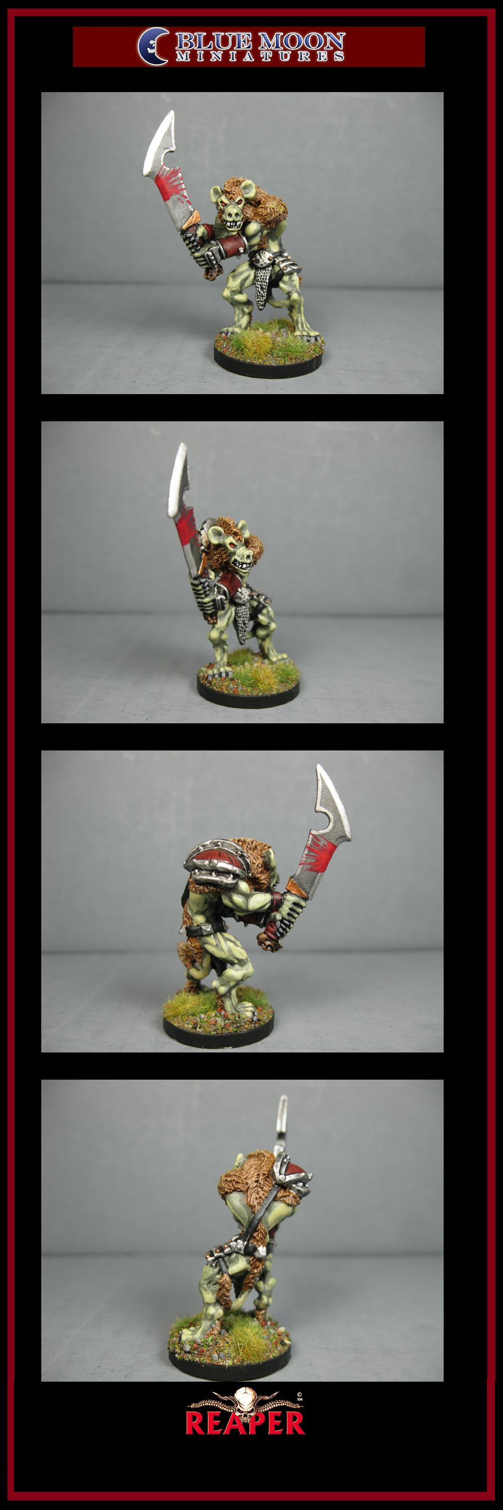 Pathfinders, Pro Painted, Reaper, Reaper Miniatures, Reaper Minis, Rpg, Warhammer Fantasy