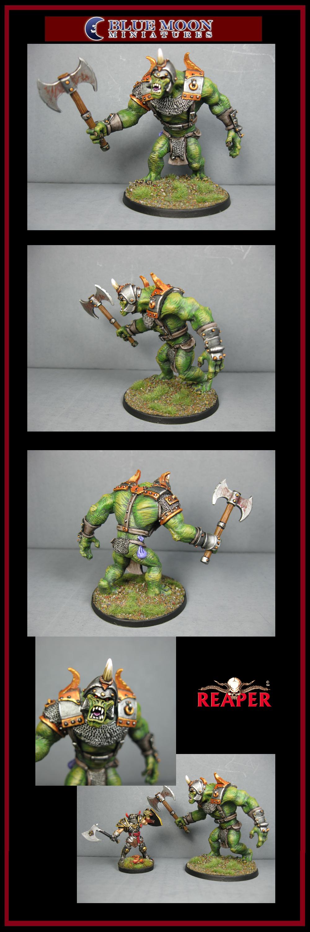 Pathfinders, Pro Painted, Reaper, Reaper Miniatures, Reaper Minis, Rpg, Warhammer Fantasy