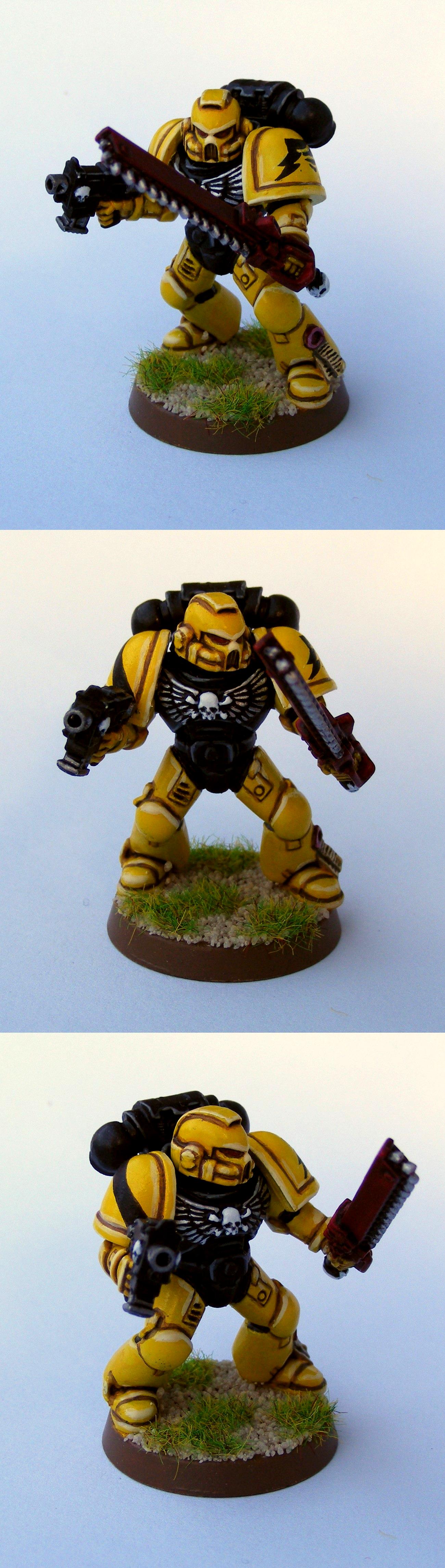Marines Malevolent, Space Marines