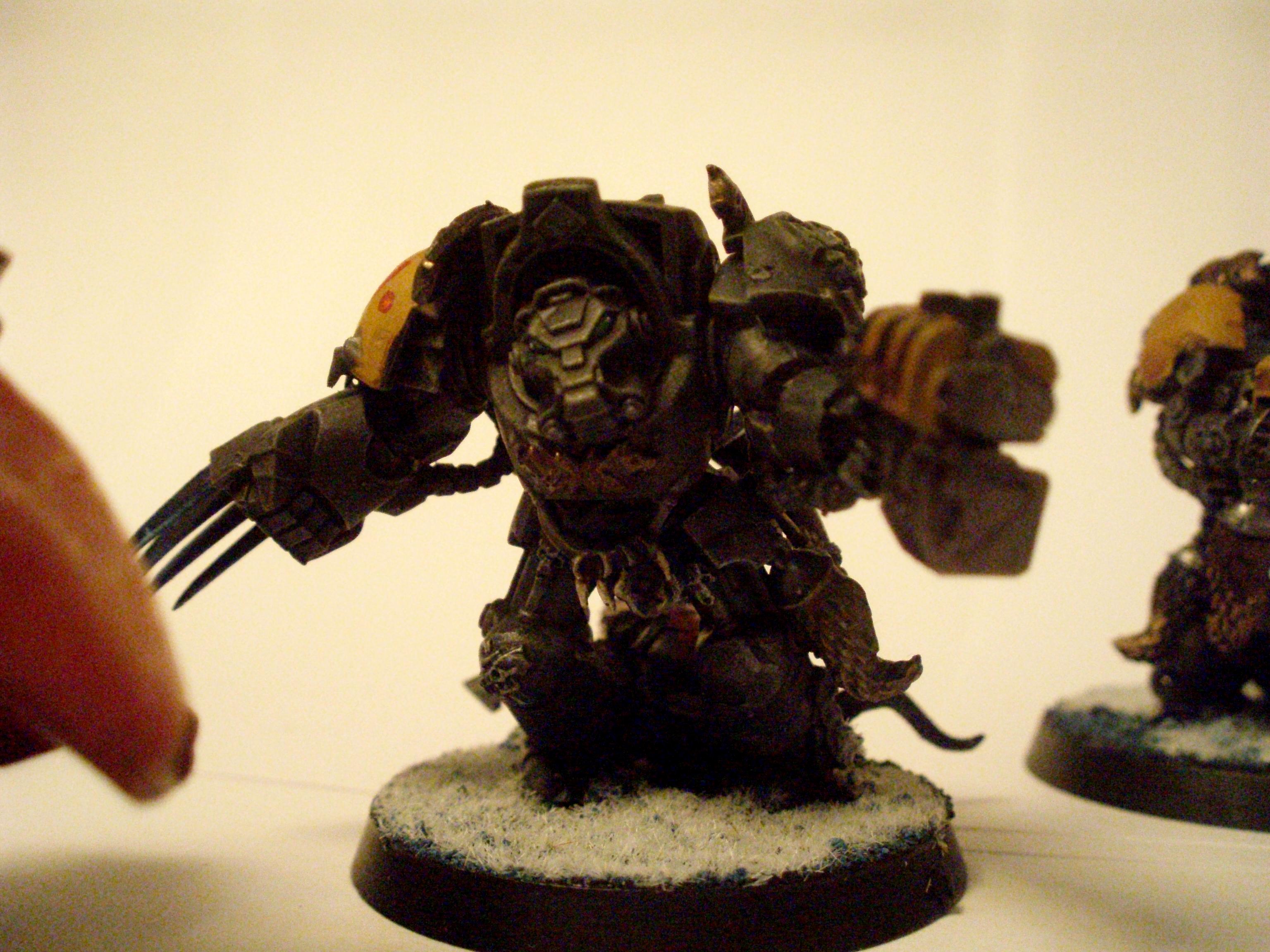 Space Marines, Space Wolves, Terminator Armor, Wolf Guard