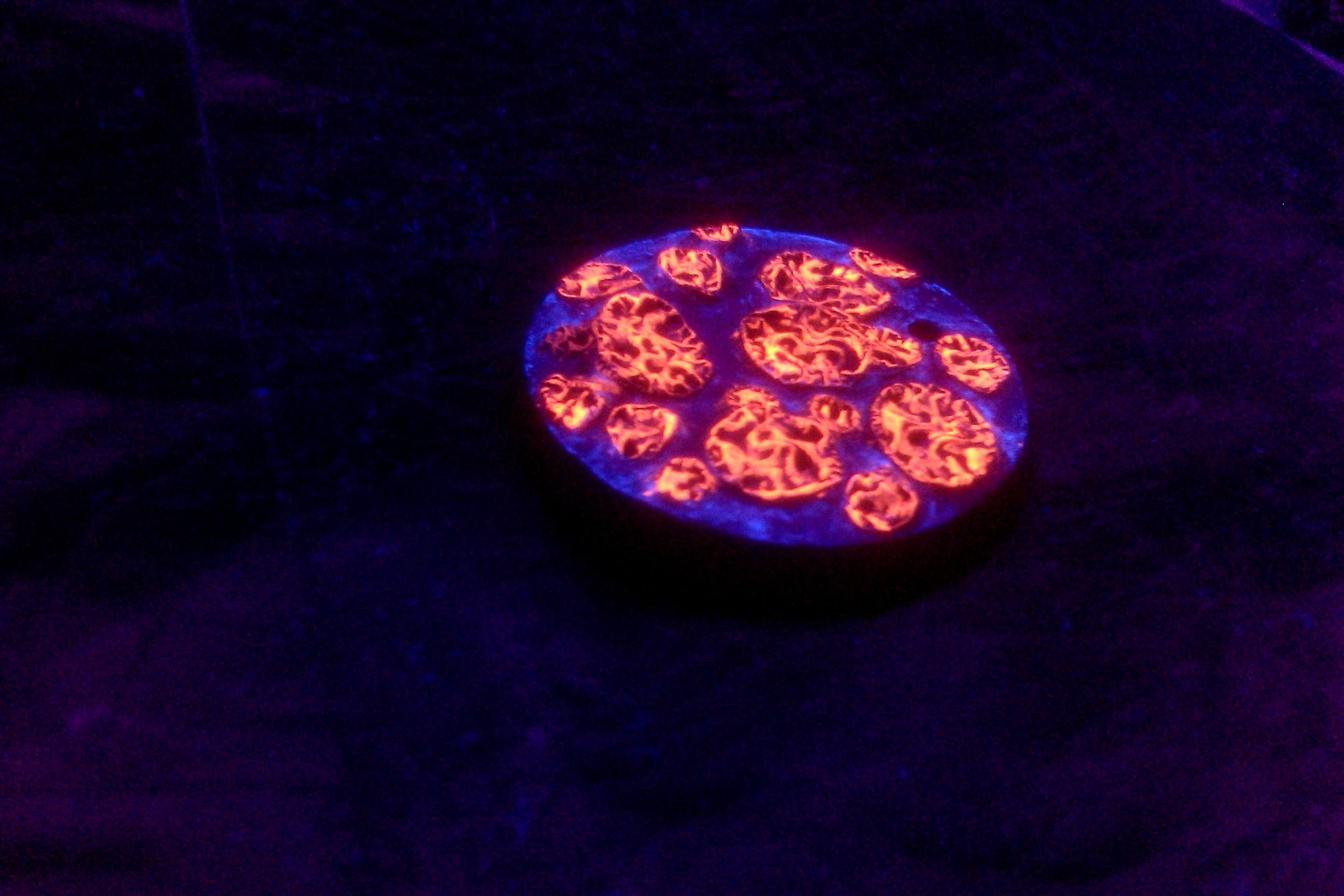 Base, Neon, Scab, Nids base