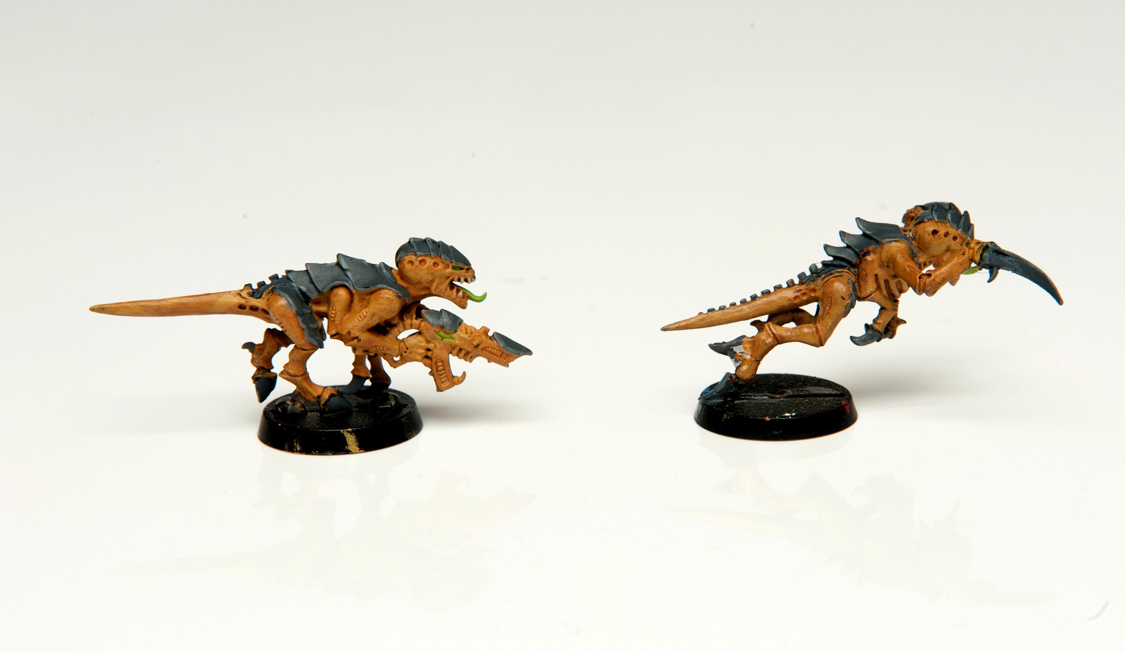 Hive Fleet, Tyranids