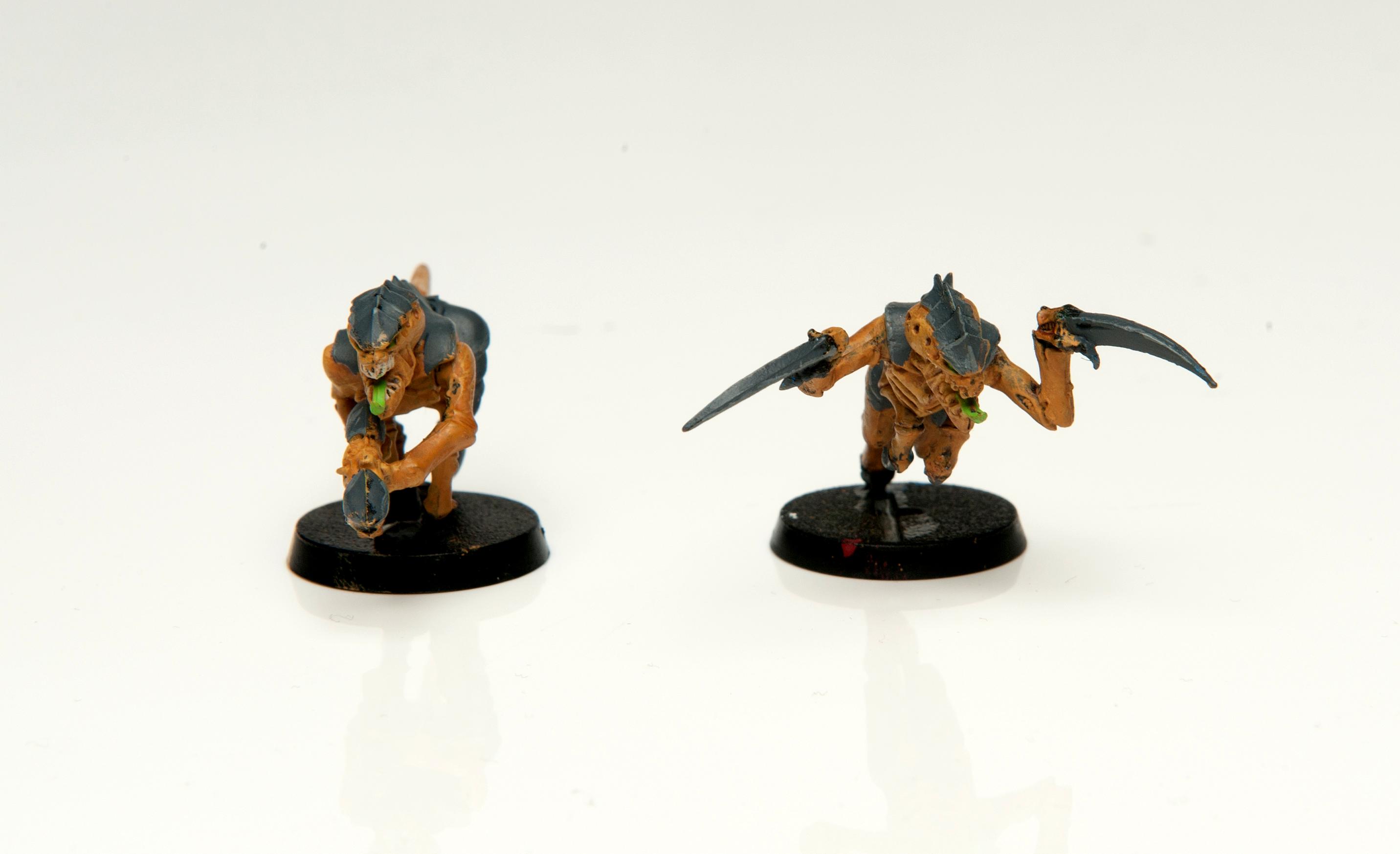 Hive Fleet, Tyranids