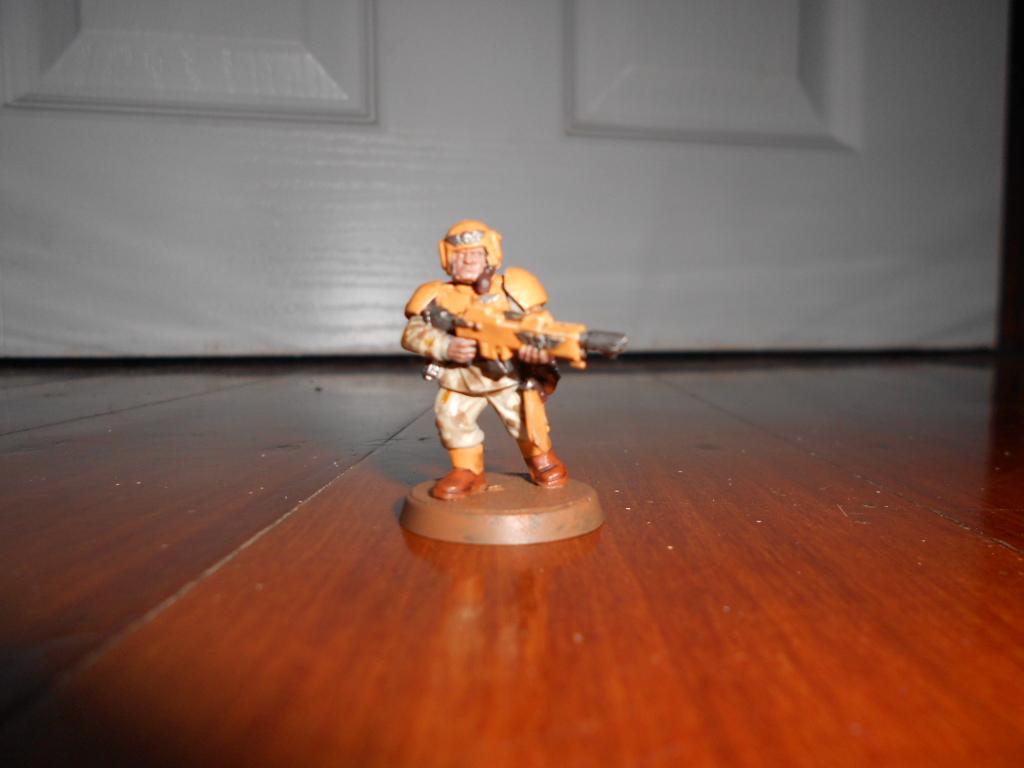 Desert IG Guardsmen 2