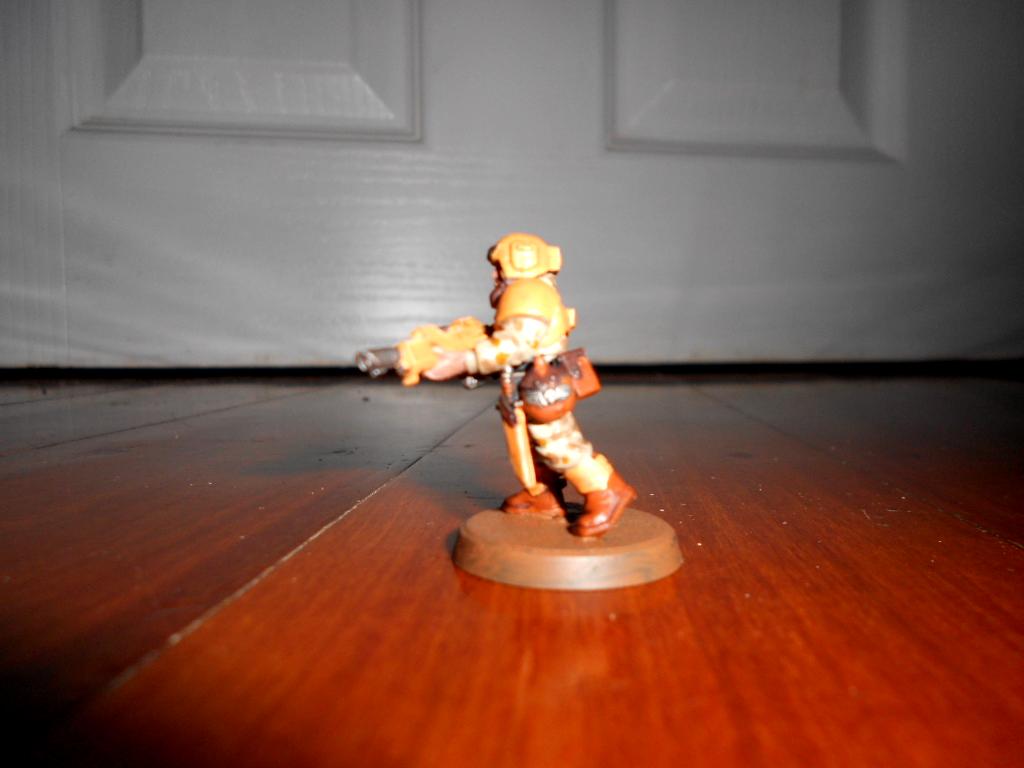 Guard, Desert IG Guardsmen 2