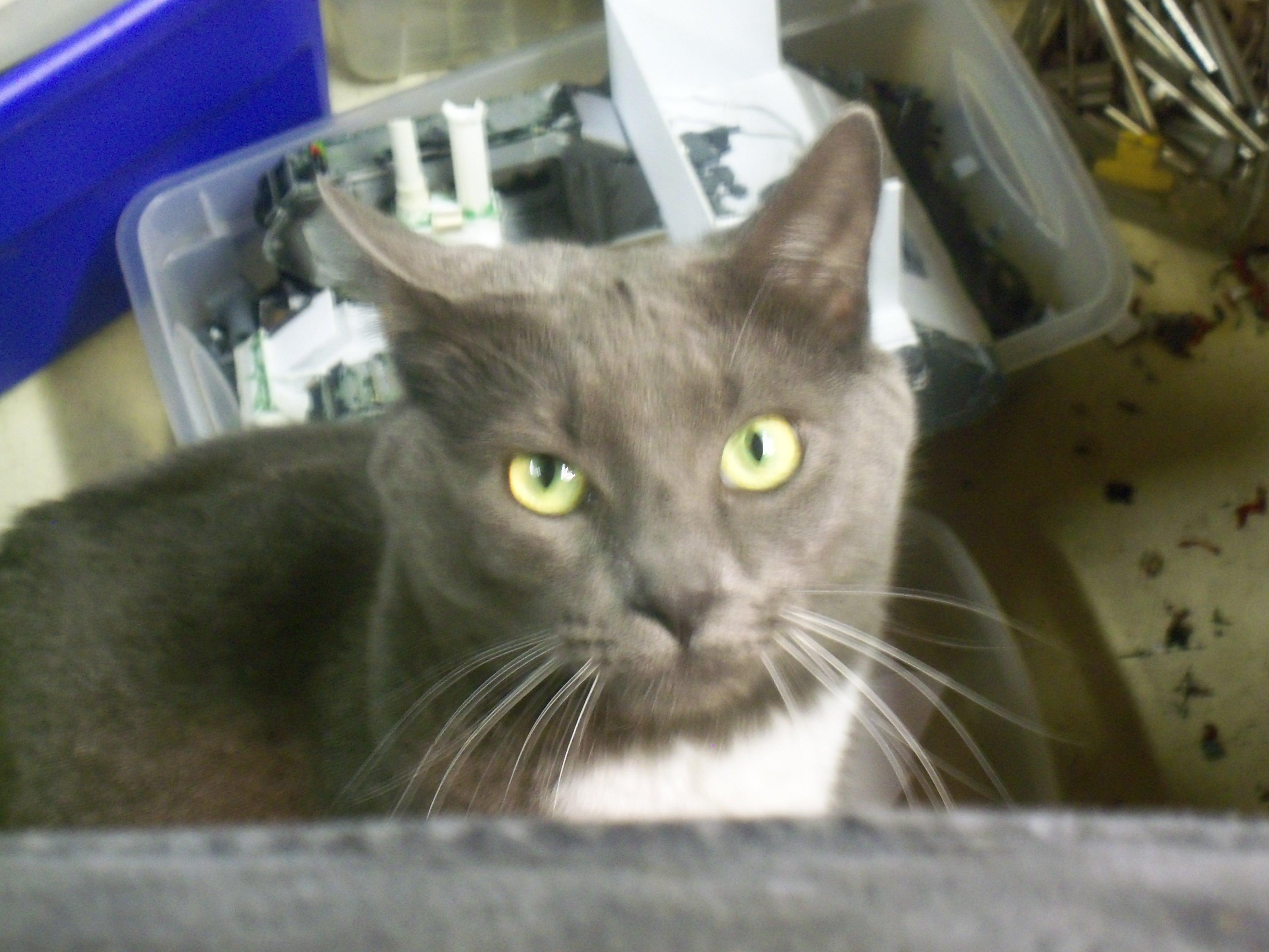 Scratch building 'assistant'