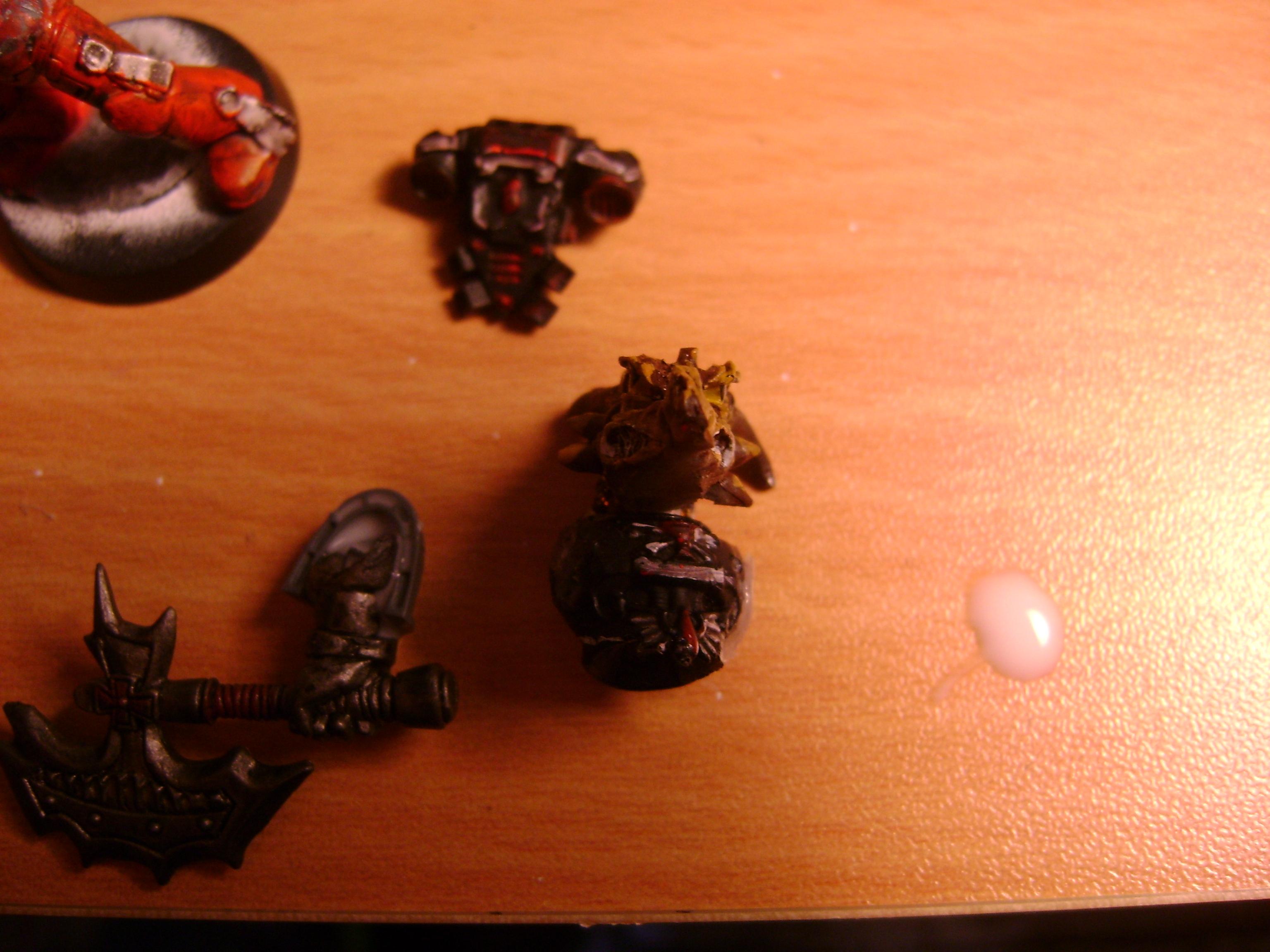 Close up on head and Torso
