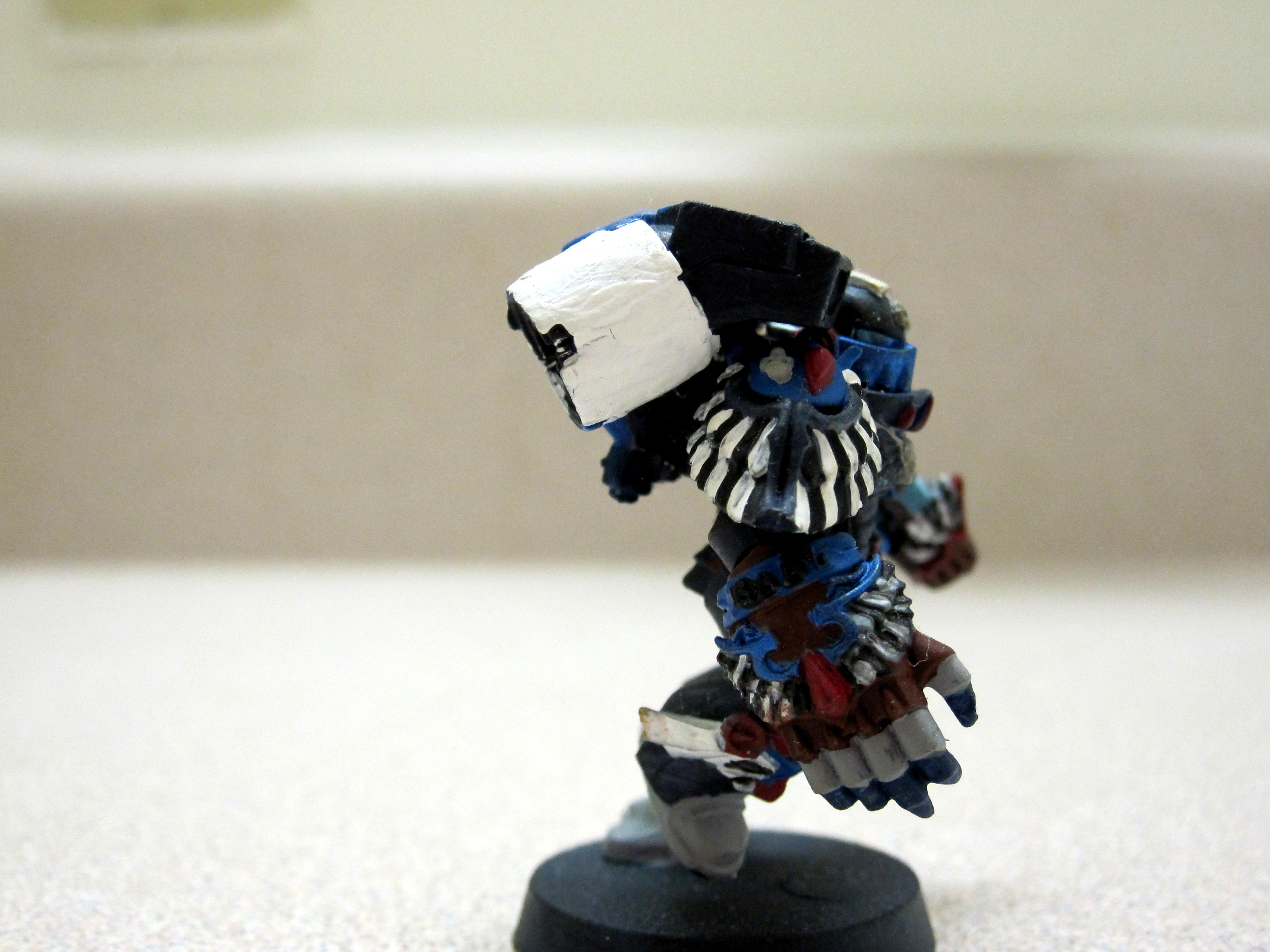Space Marines, veteran marine