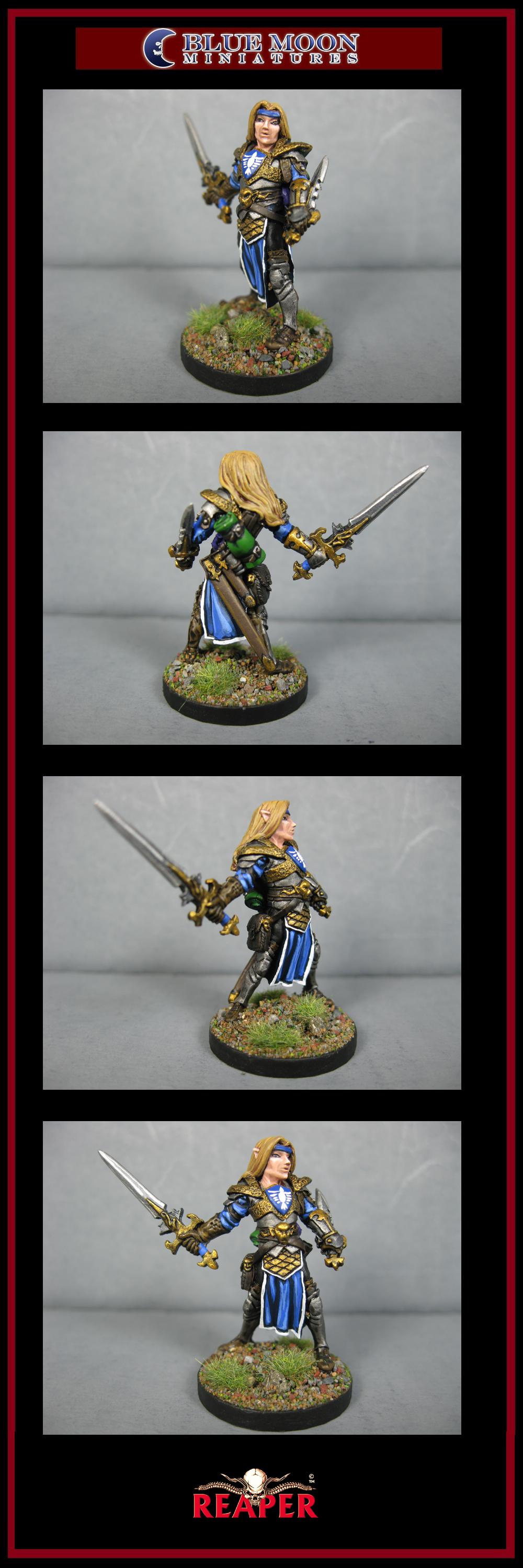 Pathfinders, Pro Painted, Reaper, Reaper Miniatures, Reaper Minis, Rpg, Warhammer Fantasy