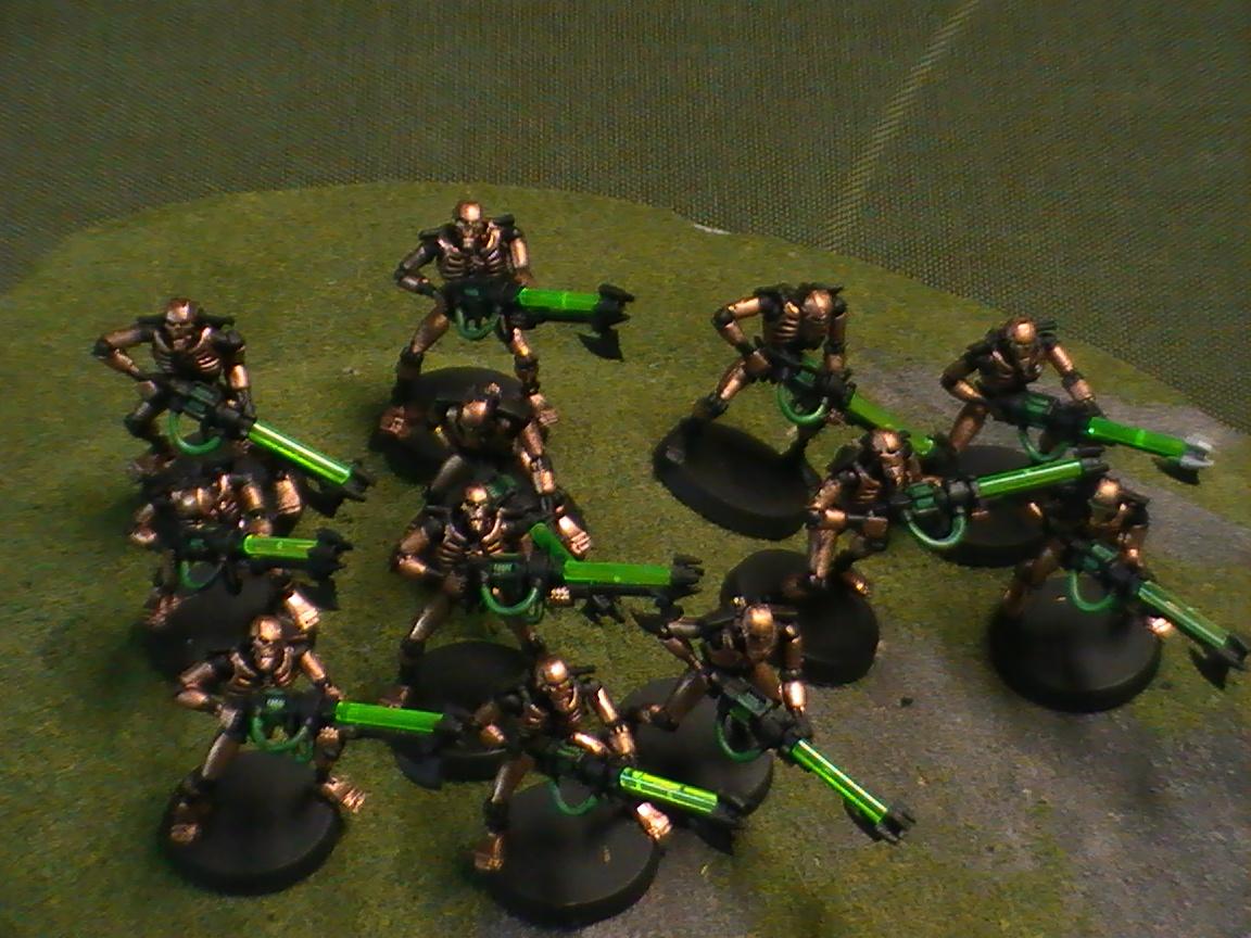 Necrons, Warriors of the Sunoccard Dynasty