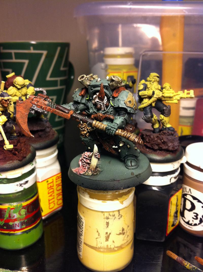 Typhus, typhus