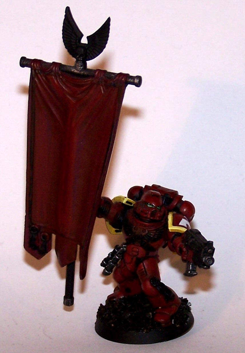 Emperor's Wings, Space Marines, Standard Bearer, Work In Progress