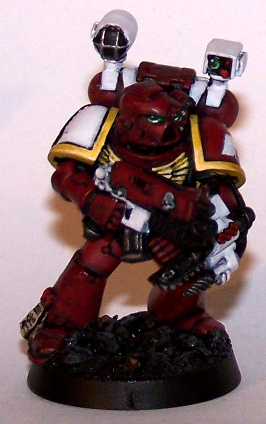 Apothacarie, Emperor's Wings, Space Marines, Work In Progress