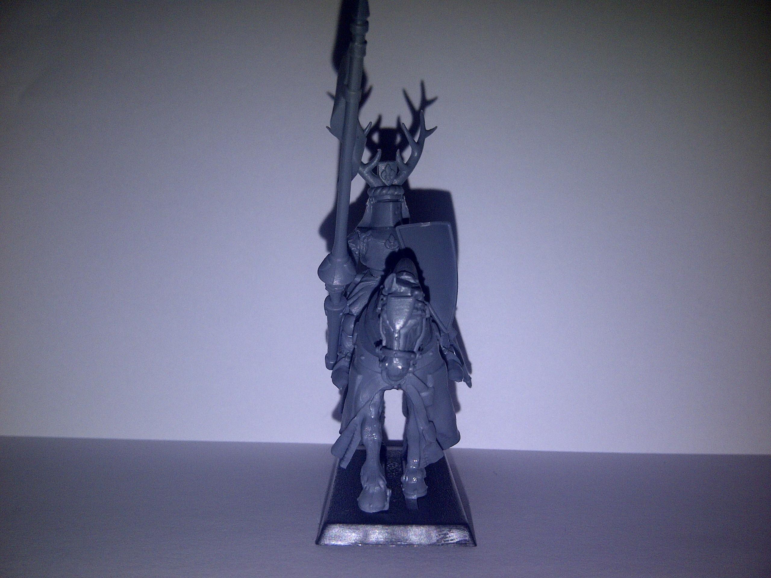 Bretonnian Lord