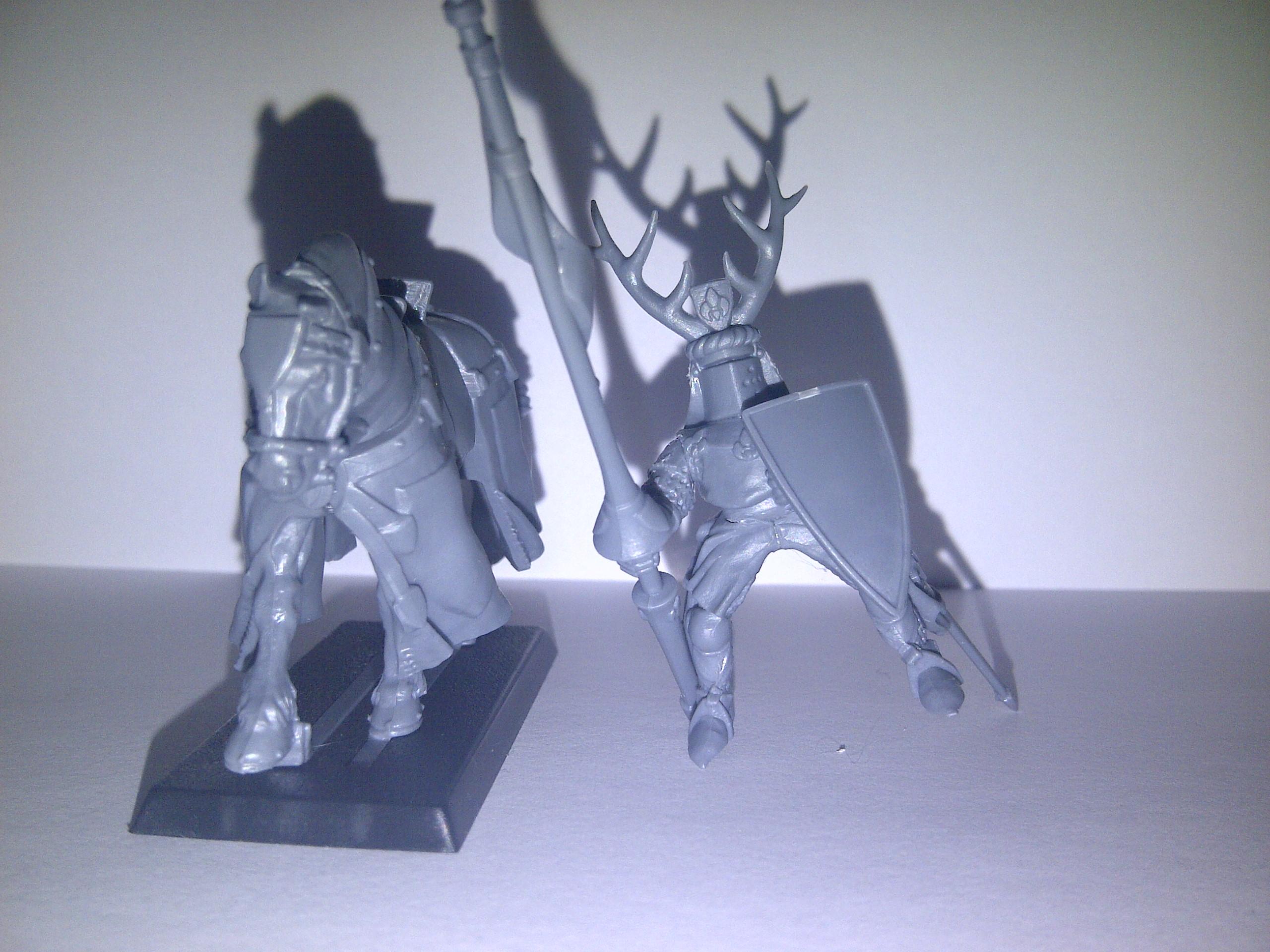 Bretonnian Lord