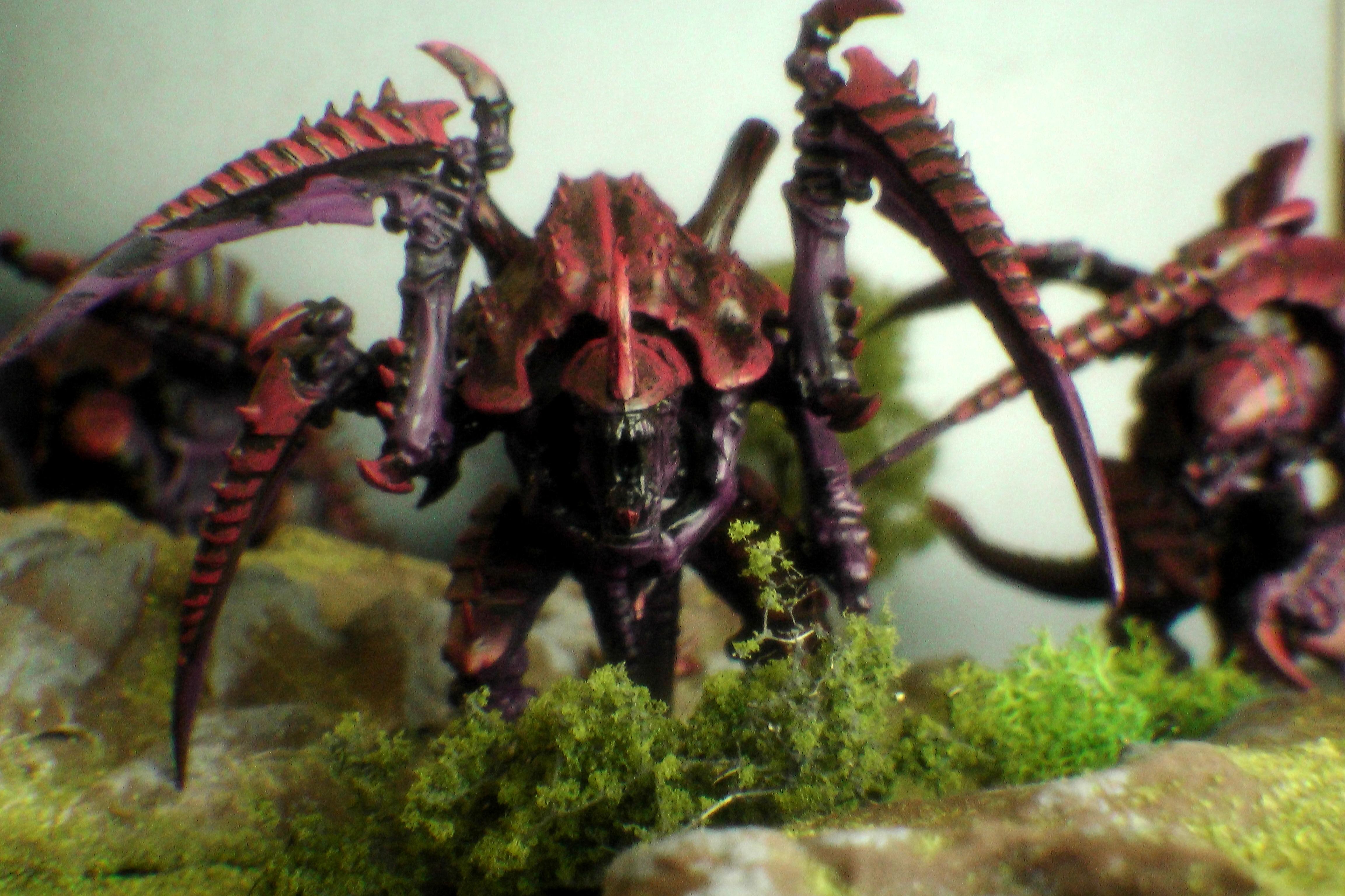 Carnifex in the Wild 2