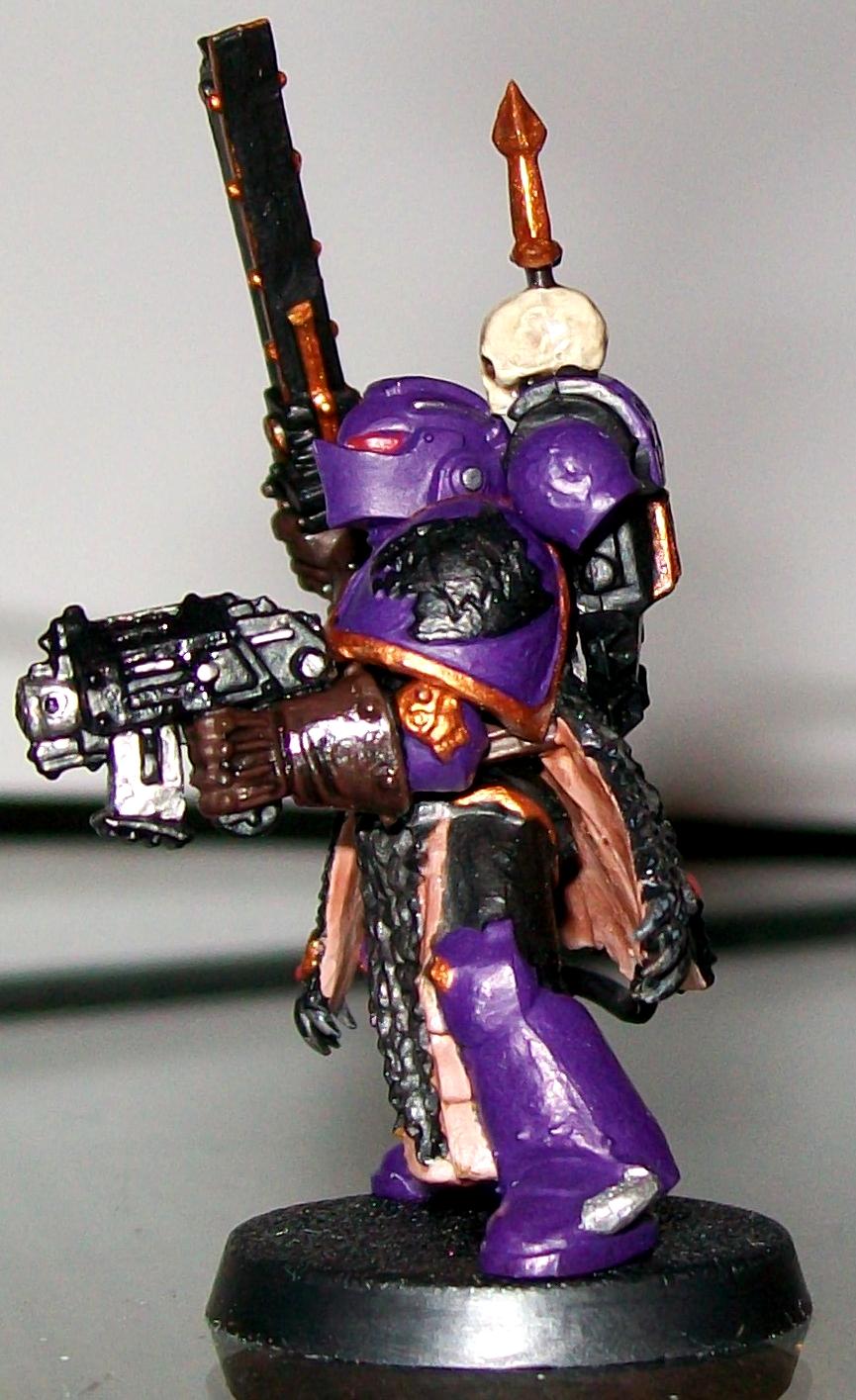 Assault, Black, Conversion, Crusader, Crusaders, Elves, Grey, High, Hunter, Hunters, Initiate, Initiates, Lion, Lions, Space, Space Marines, Squad, Templar, Templars, Warhammer 40,000, White, Wolf, Wolves