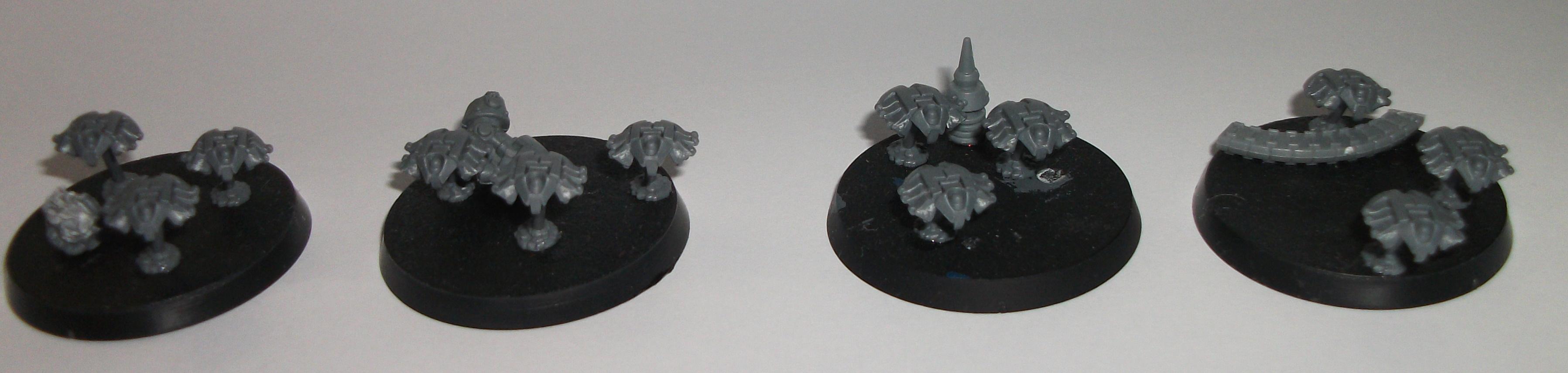 Scarabs!