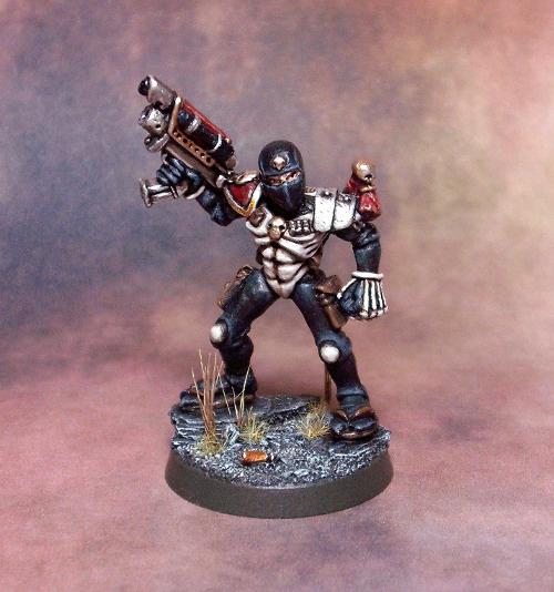 Assassin, Rogue Trader