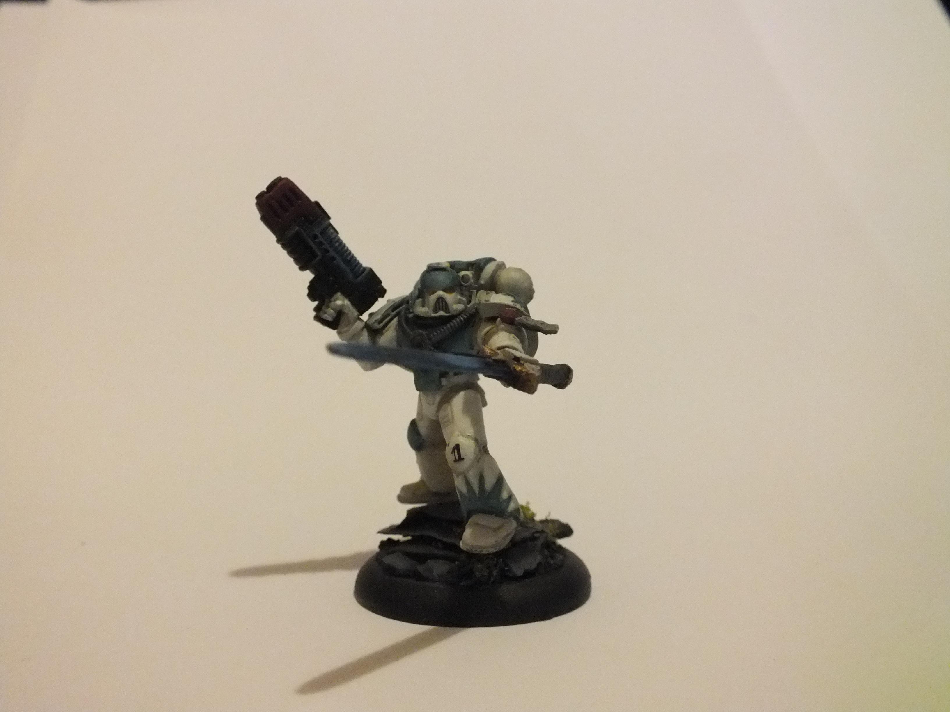 Star Scorpion