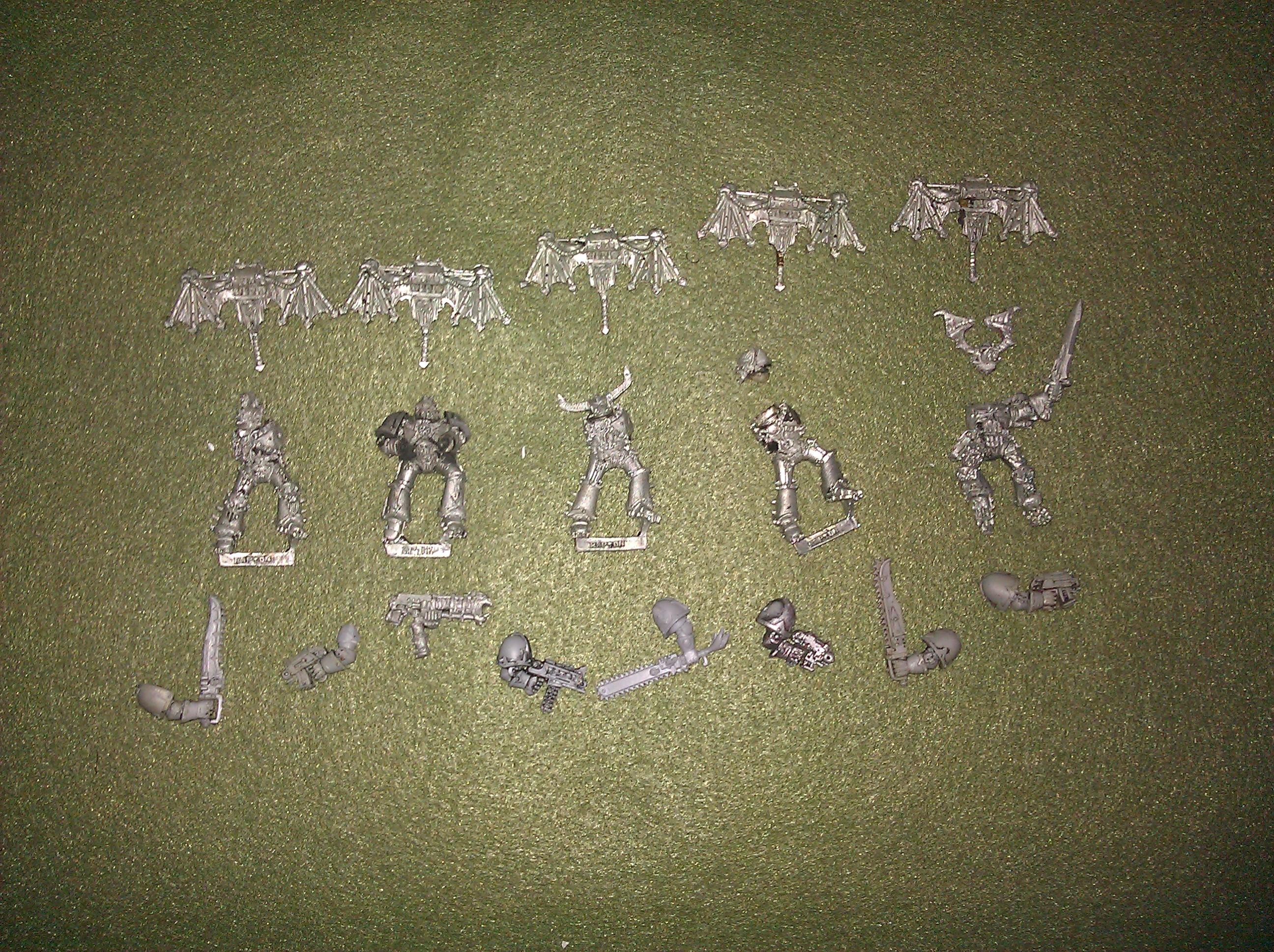 Raptors