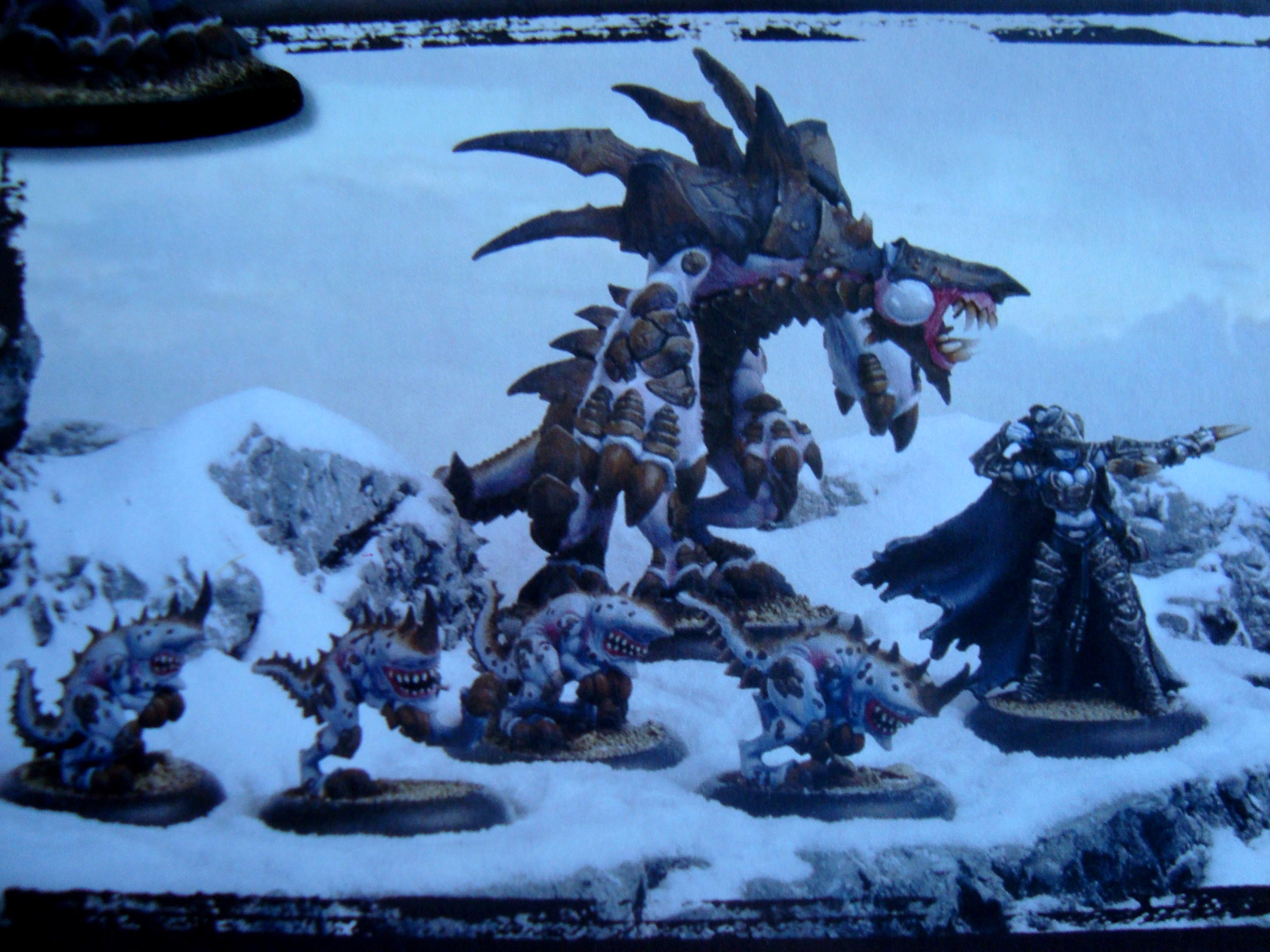 Hordes Legion of Everblight packaging