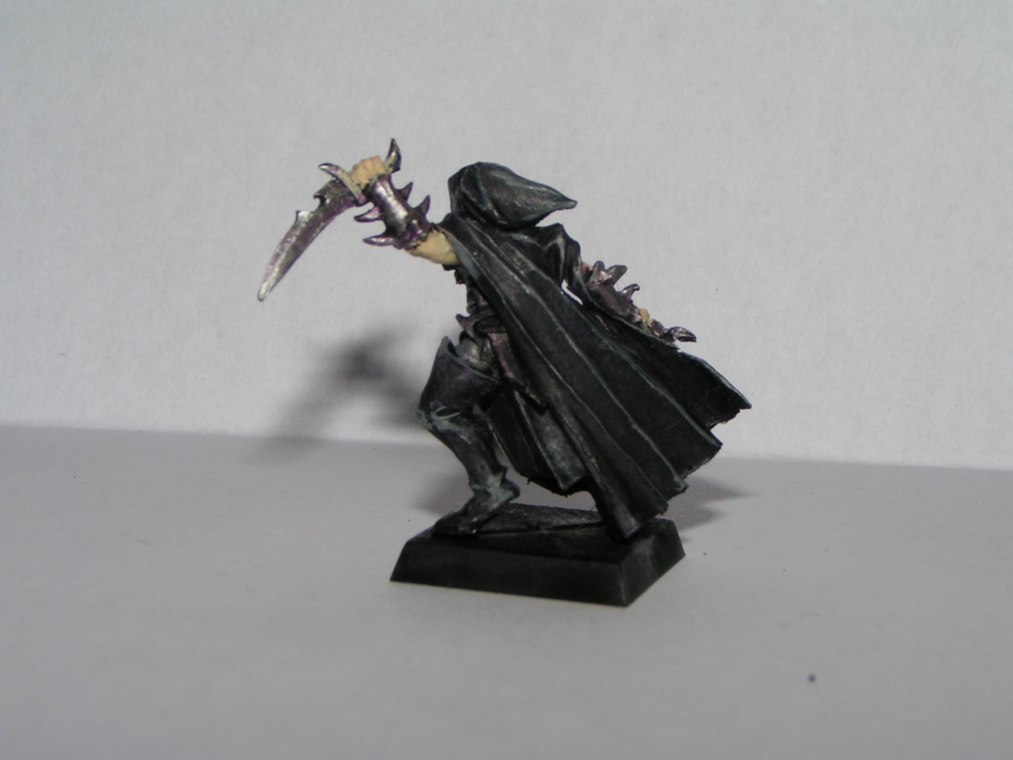 Assassin, Dark Elves