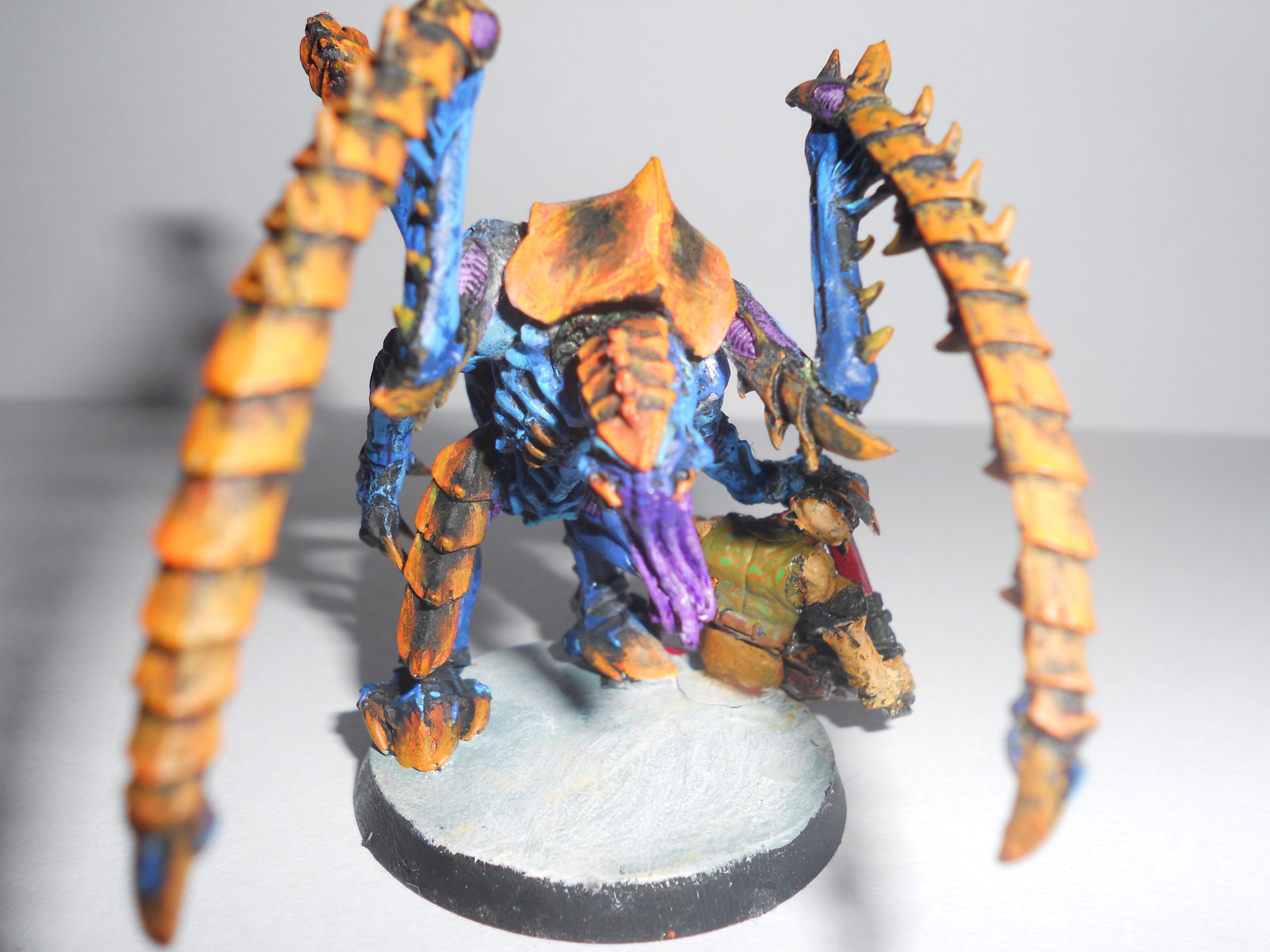 Lictor