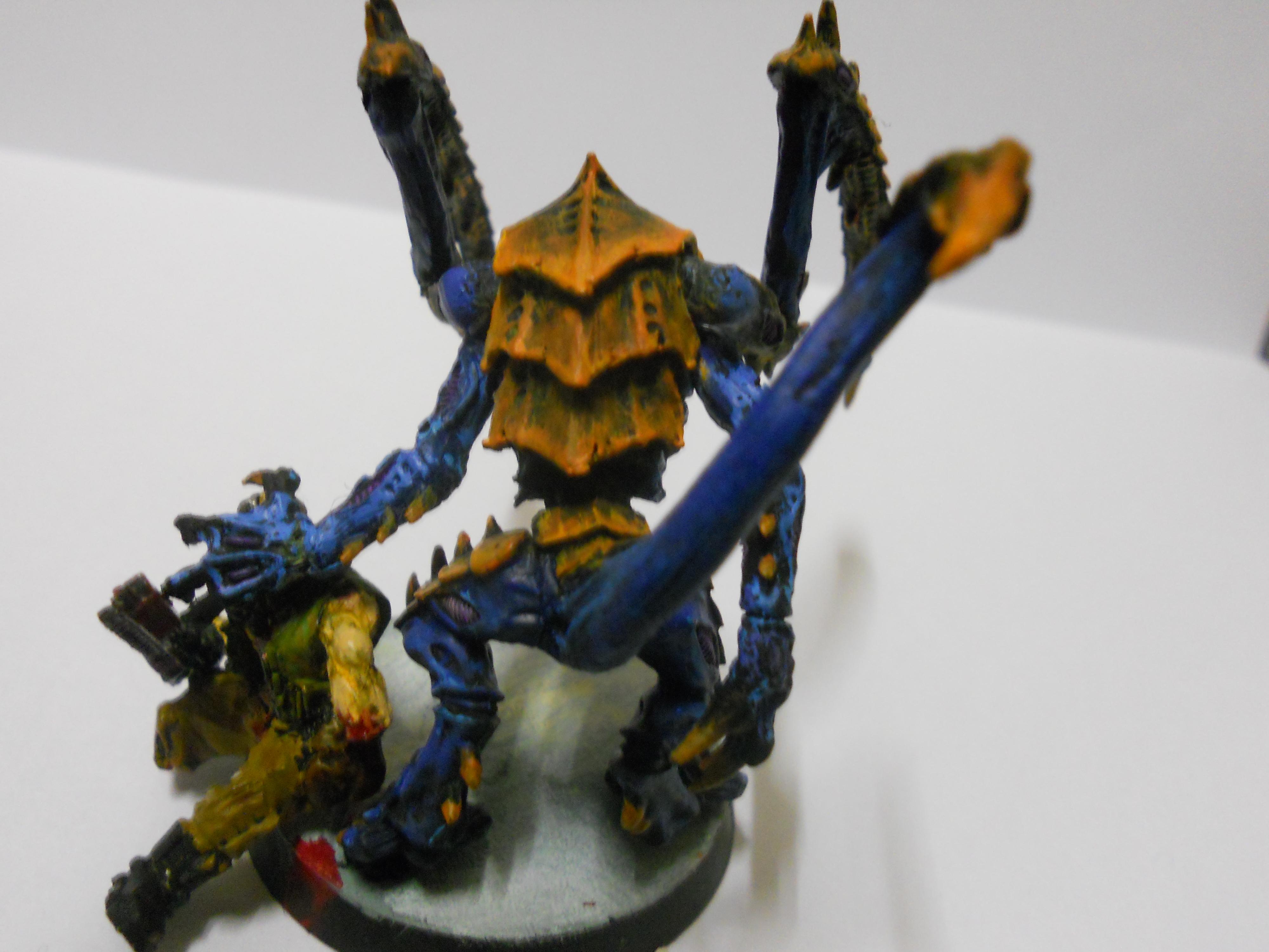 Lictor, Lictor Back