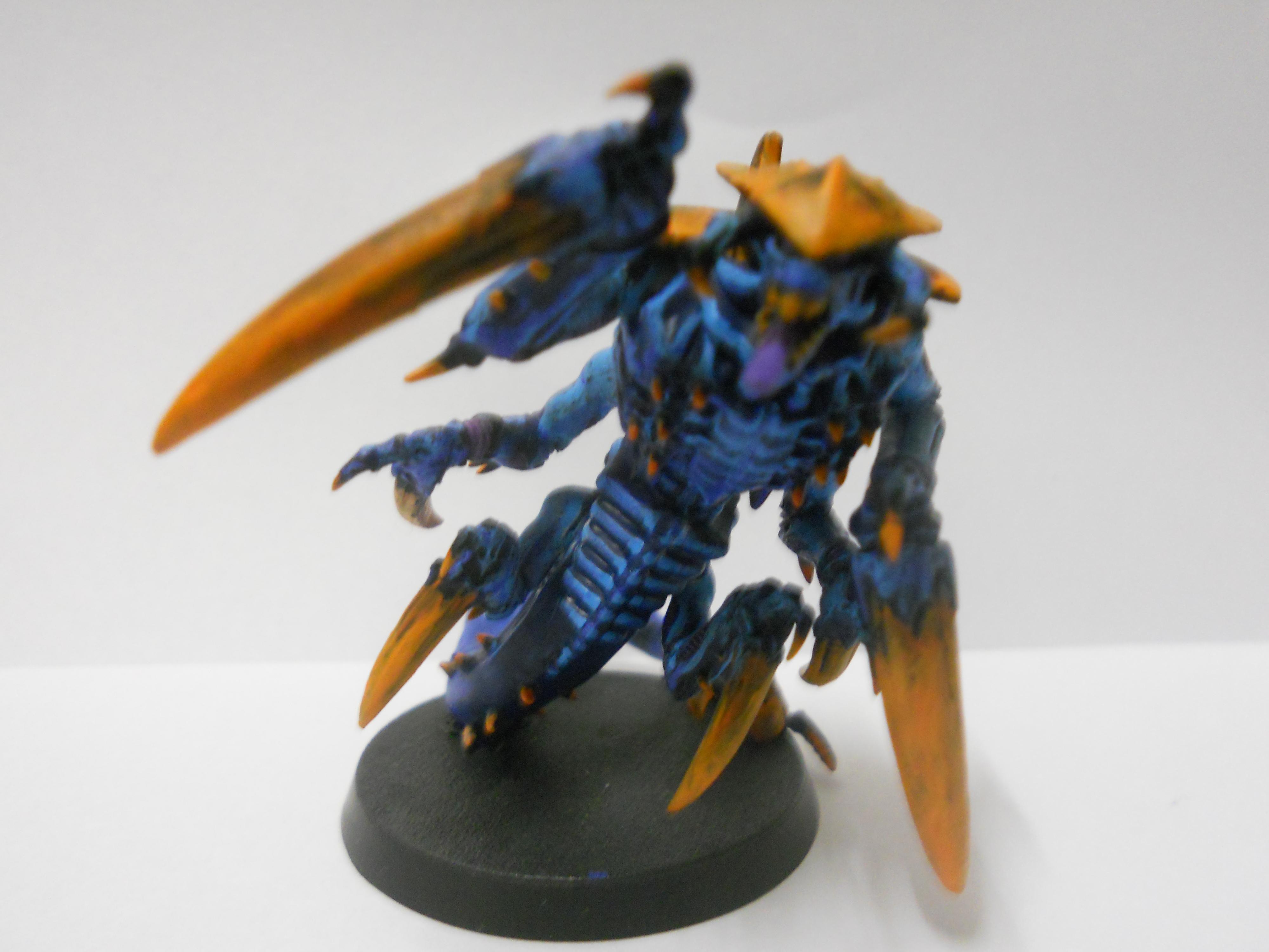 Ravener - No flash