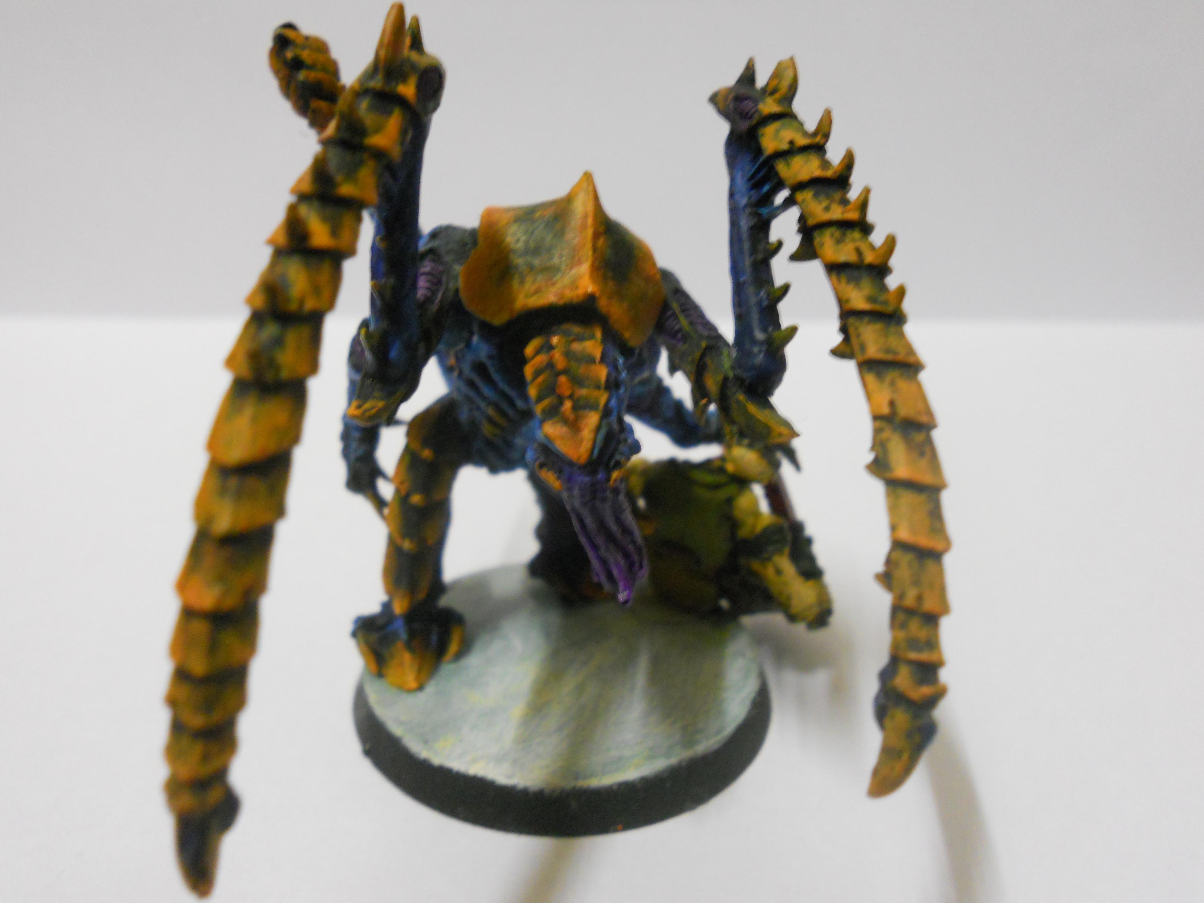 Lictor - No Flash