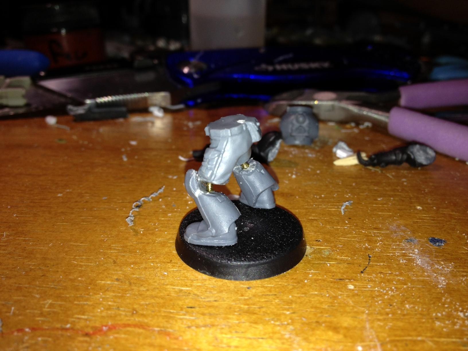 Raven Guard, Scouts, True Scale