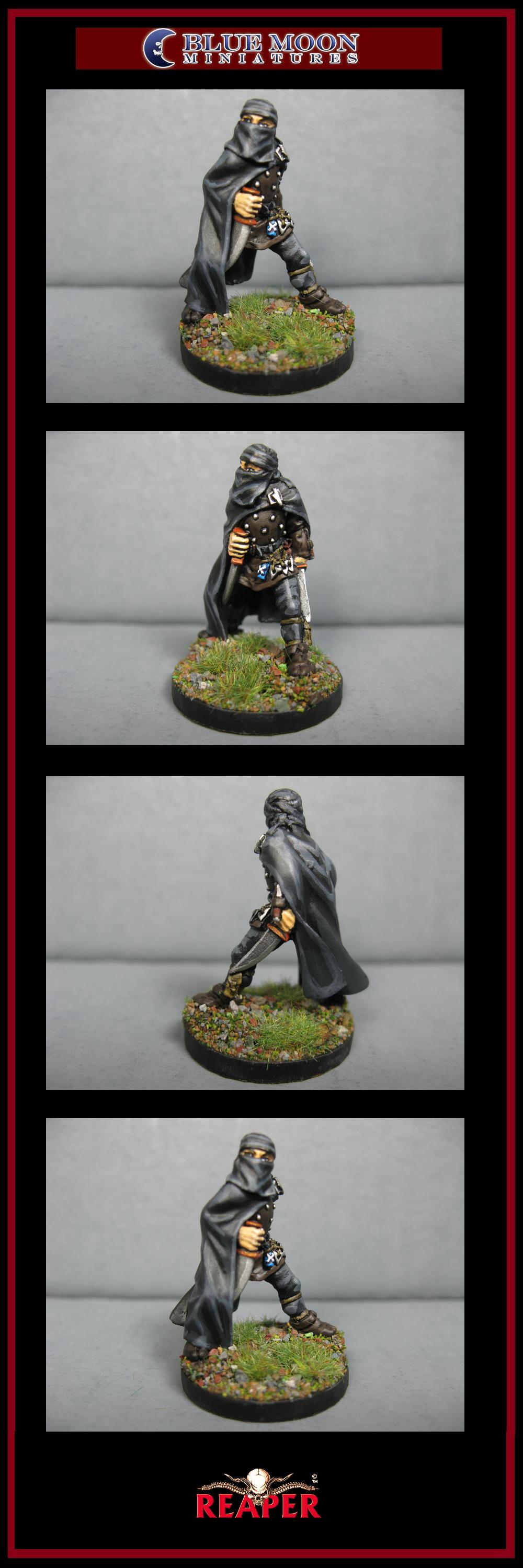 Arab, Assassin, Pathfinders, Pro Painted, Reaper, Reaper Miniatures, Reaper Minis, Rpg, Warhammer Fantasy
