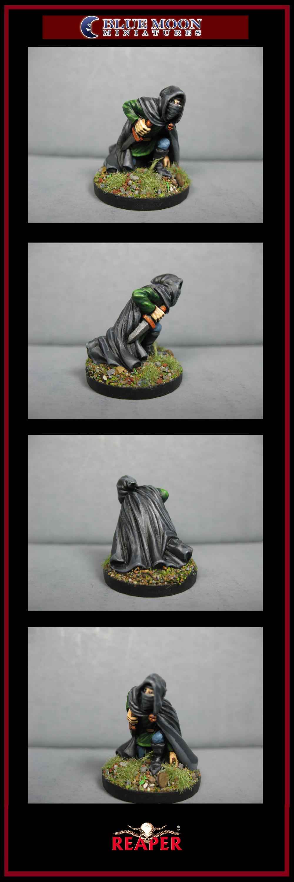 Pathfinders, Pro Painted, Reaper, Reaper Miniatures, Reaper Minis, Rpg, Warhammer Fantasy