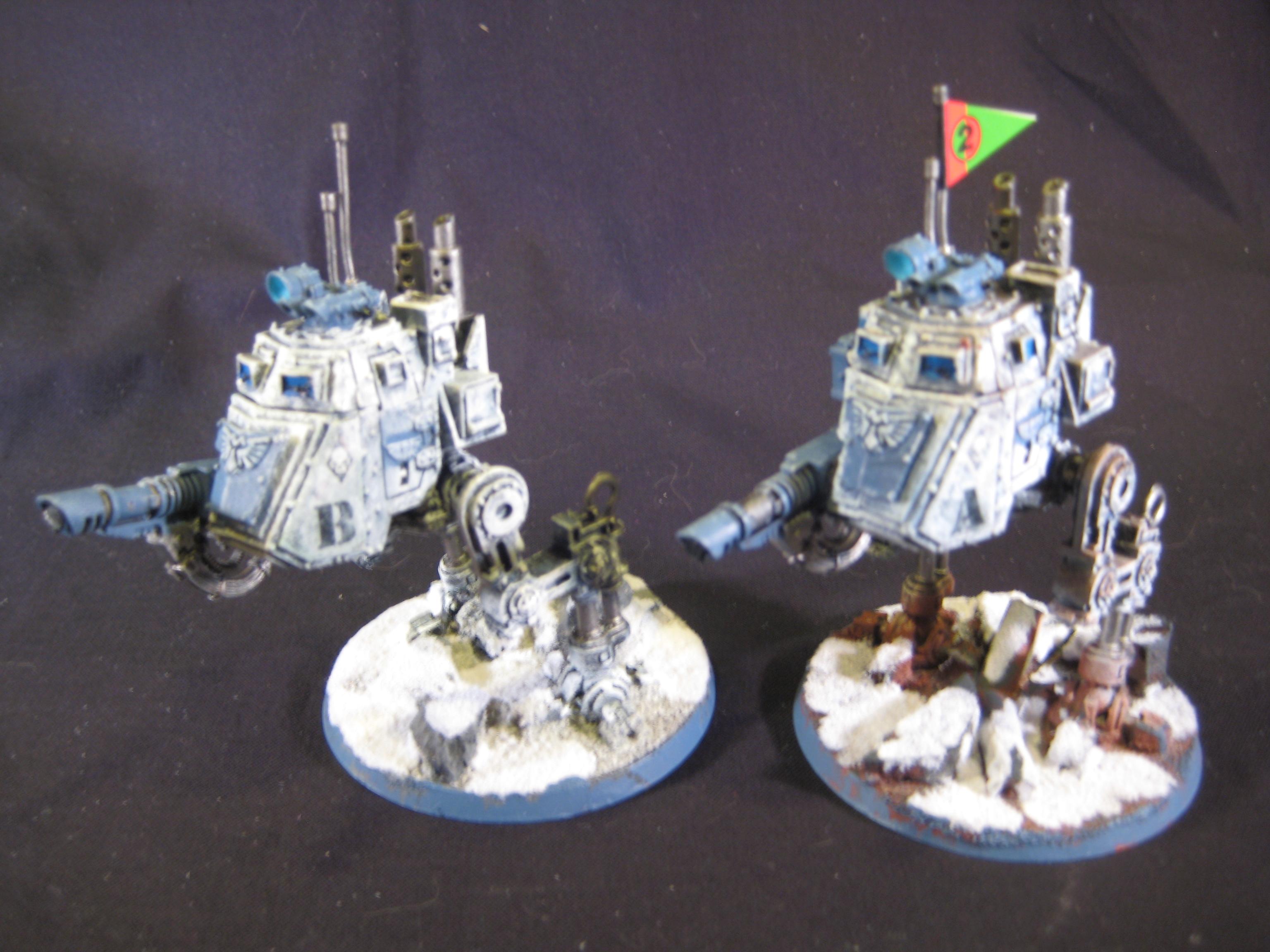 Imperial Guard, Sentinel, Winter Guard