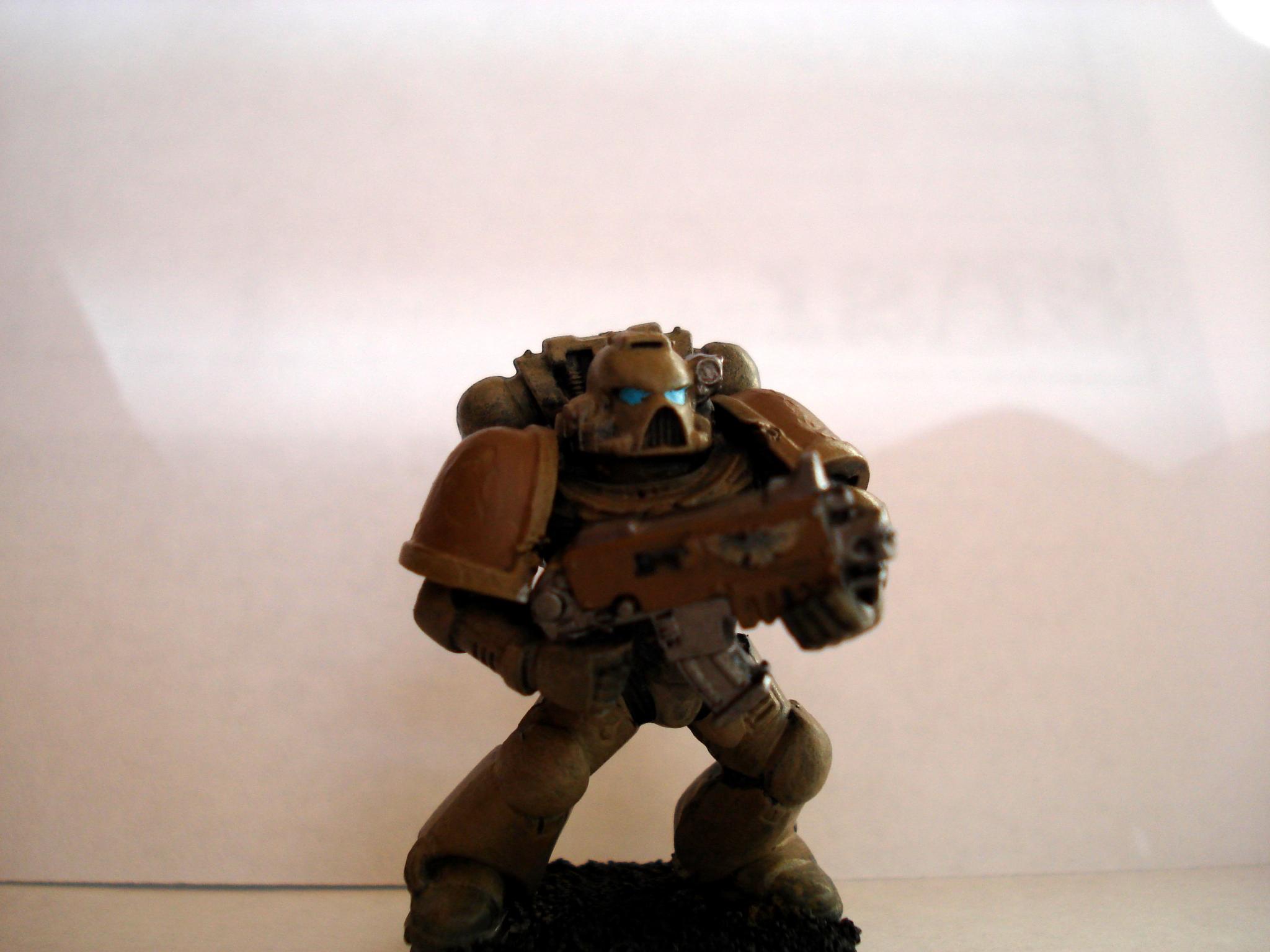Blog, Desert, Painted, Space, Space Marines