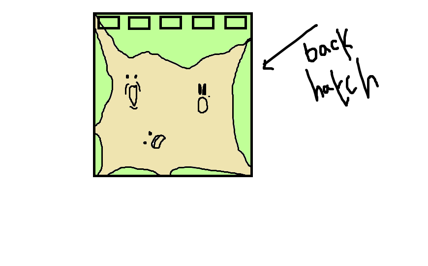 Back Hatch