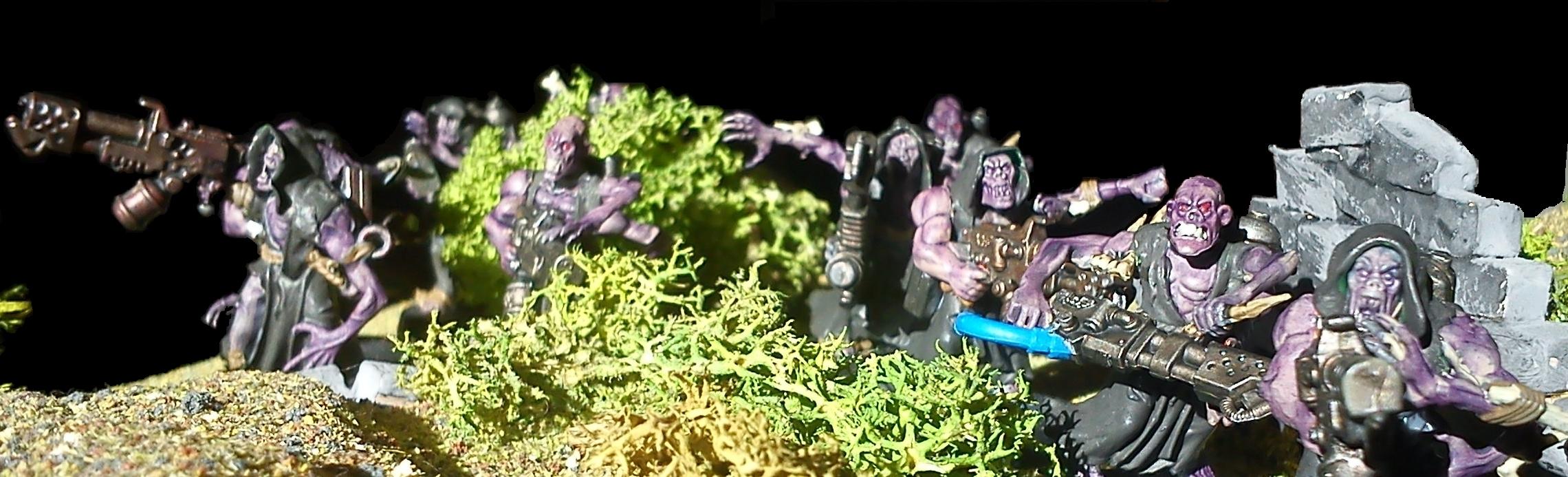 Gene Stealer Cult Hybrids