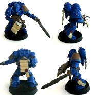 desert marine librarian