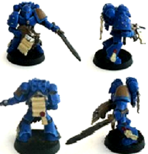 desert marine librarian