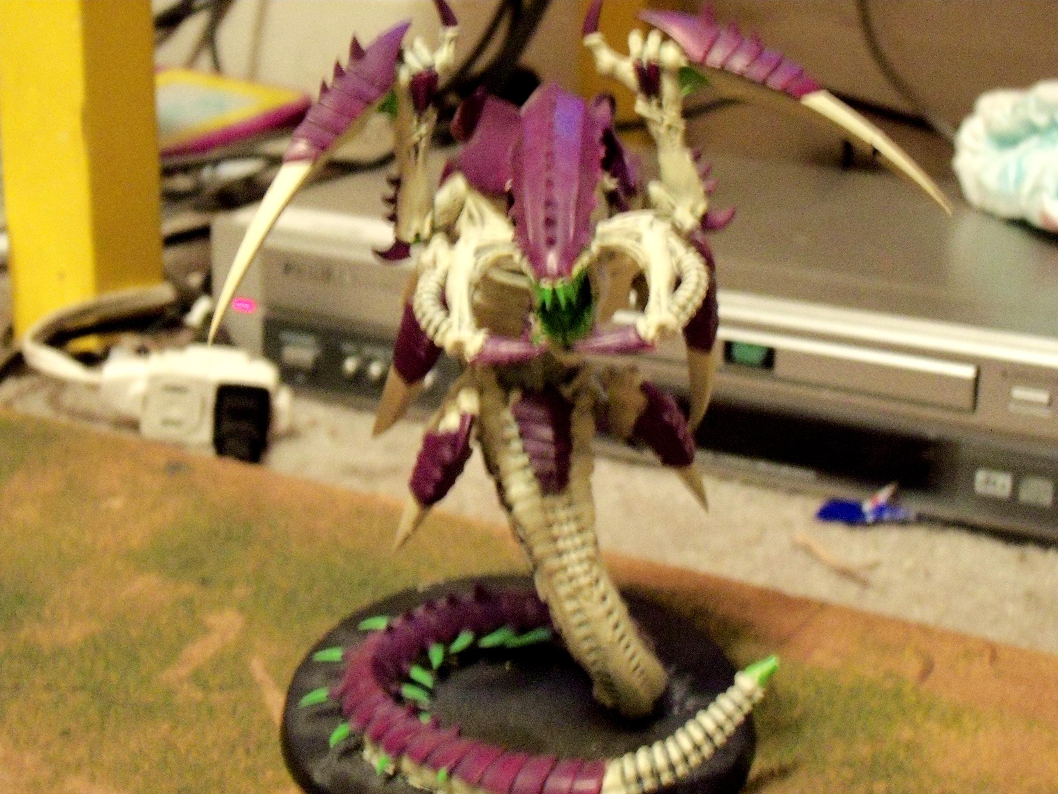 Trygon Prime
