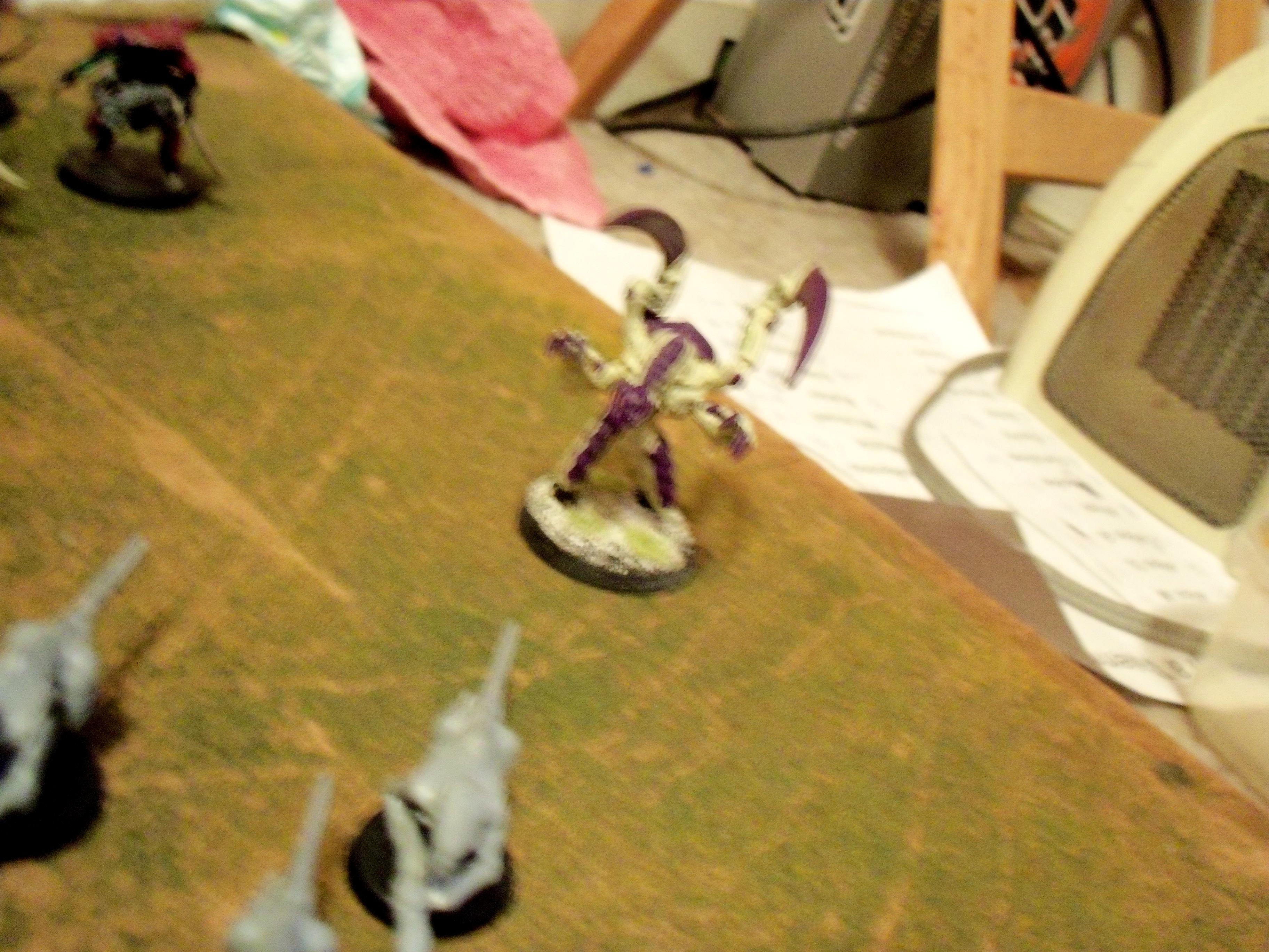 Lictor