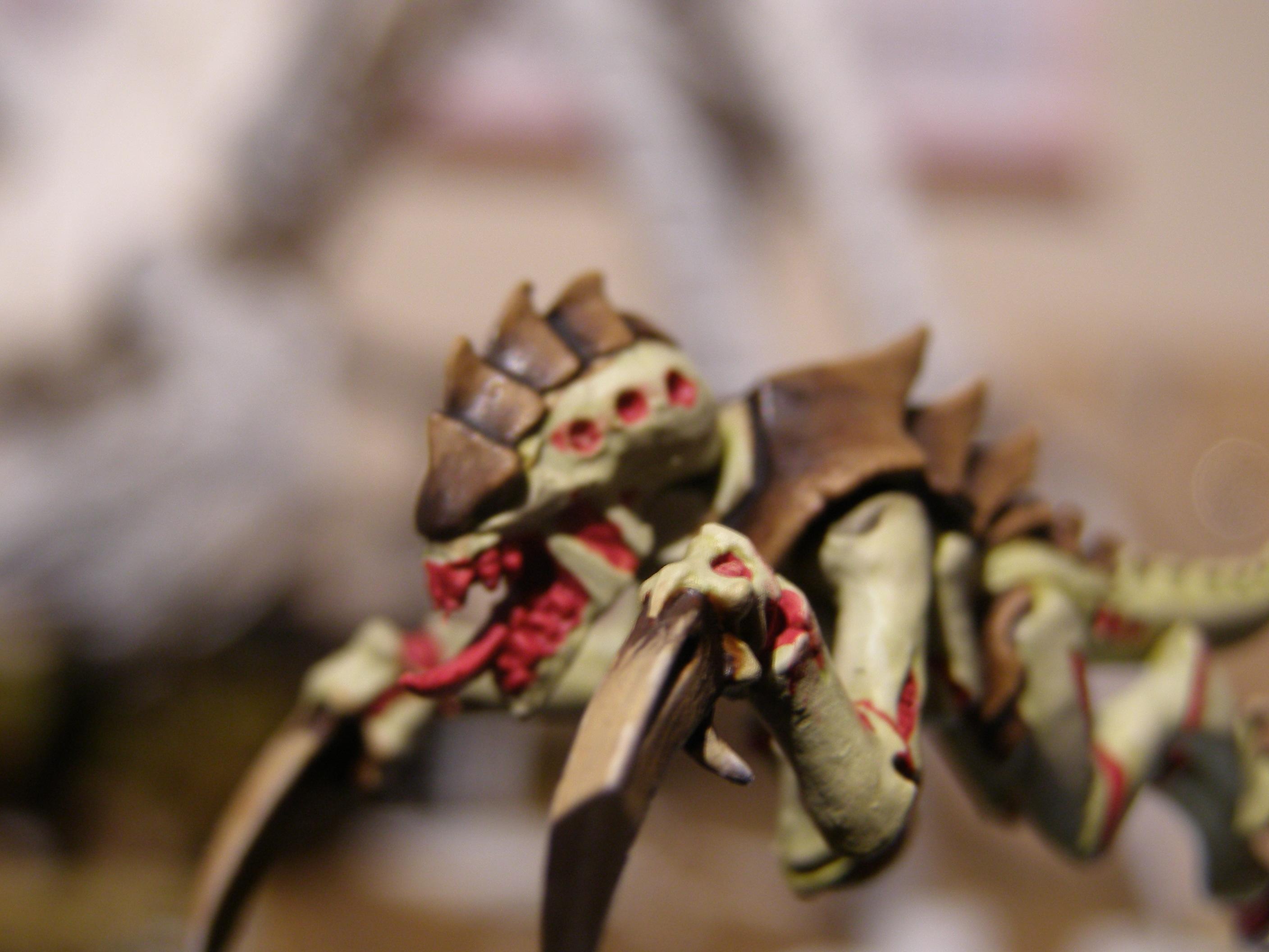 Tyranids