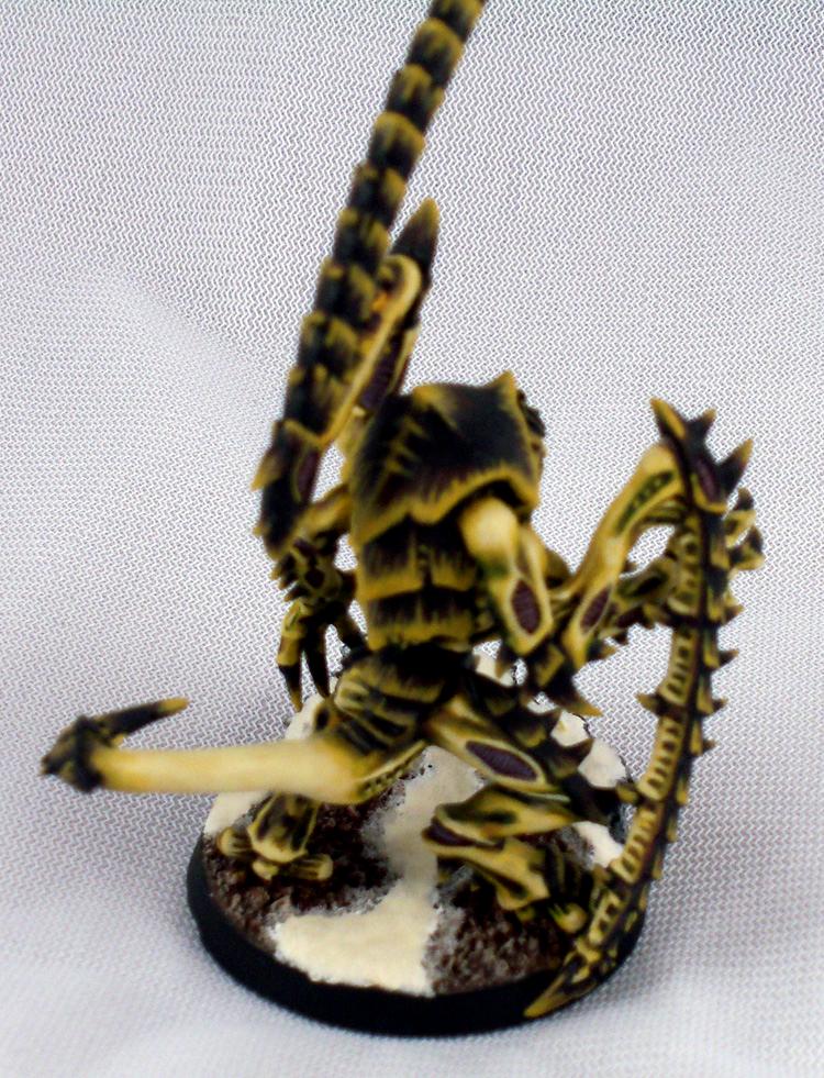 Lictor Back